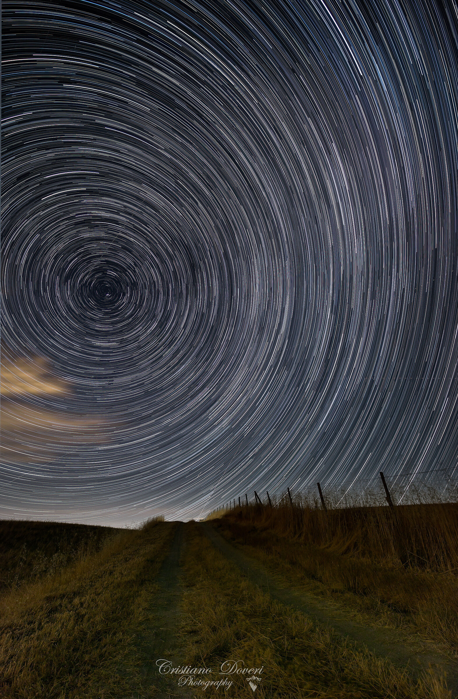 Stars