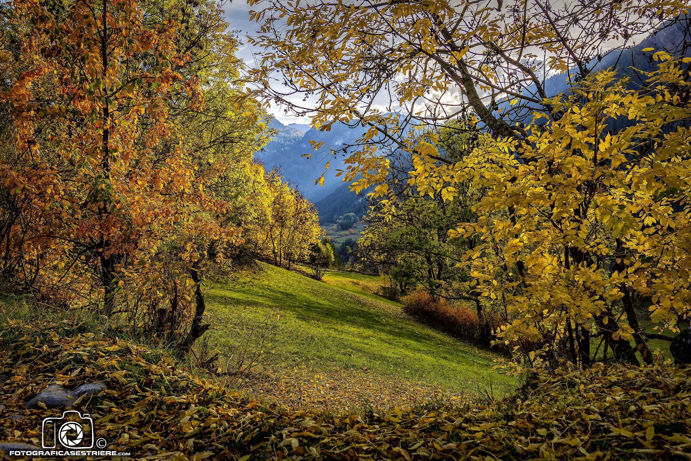Autumn