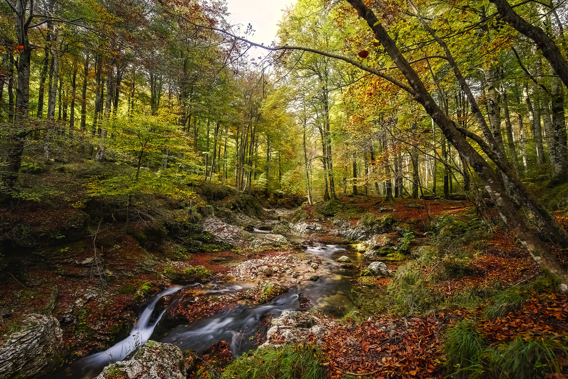 Autumn in Val Arzino