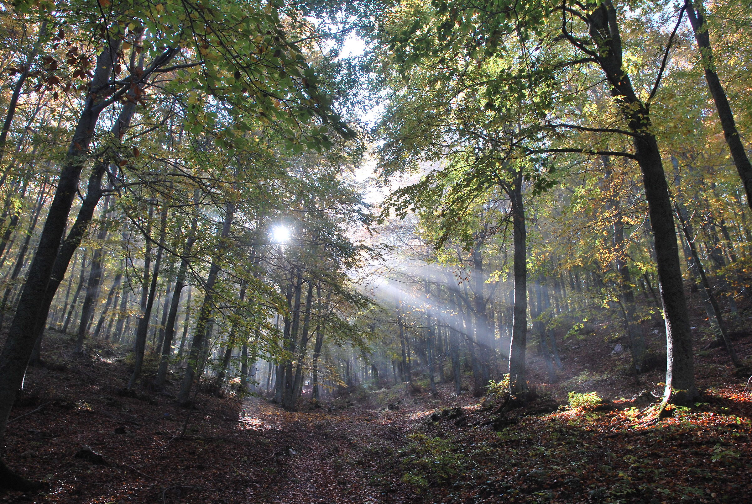 Siragli di luce