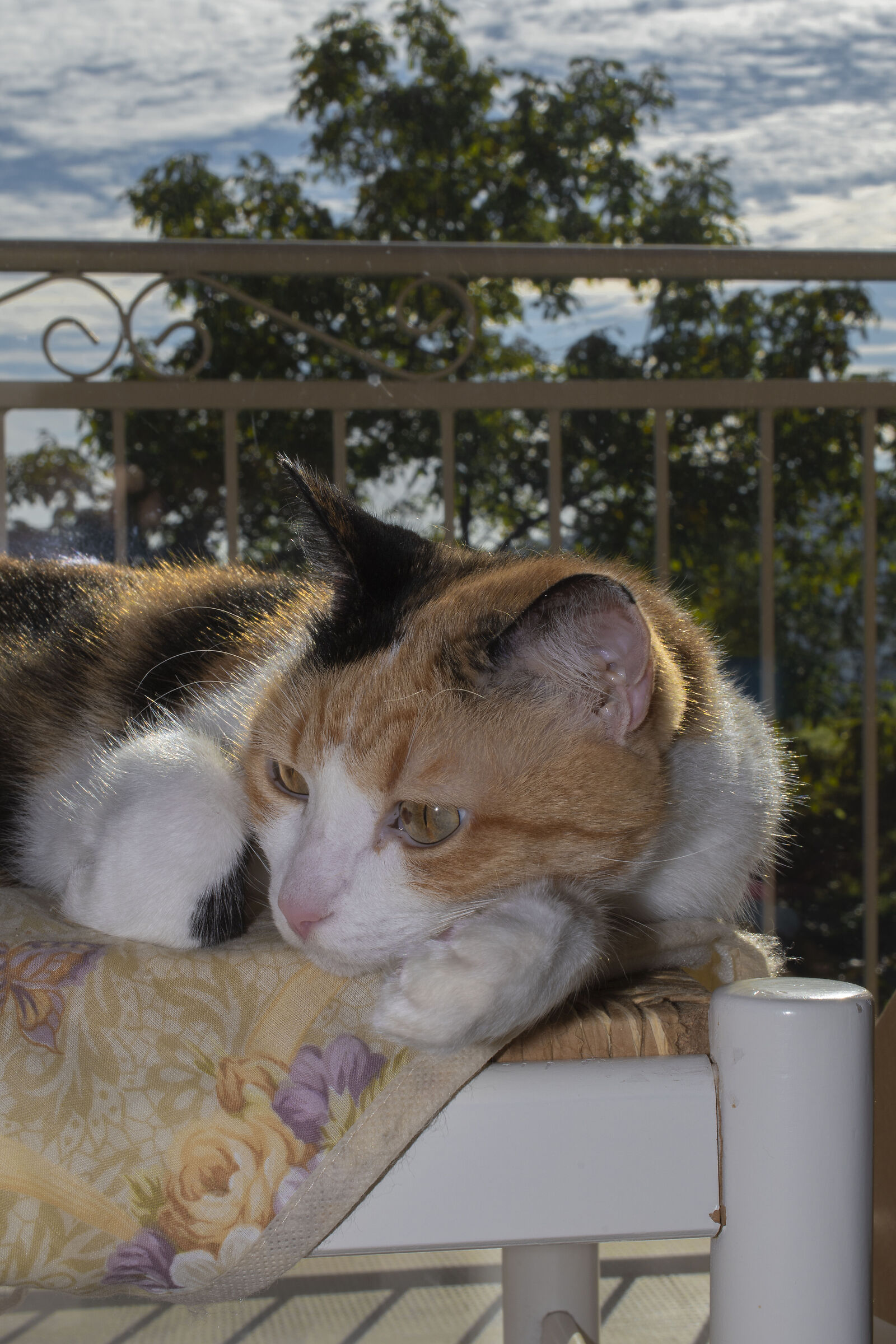 Relax dopo colazione...