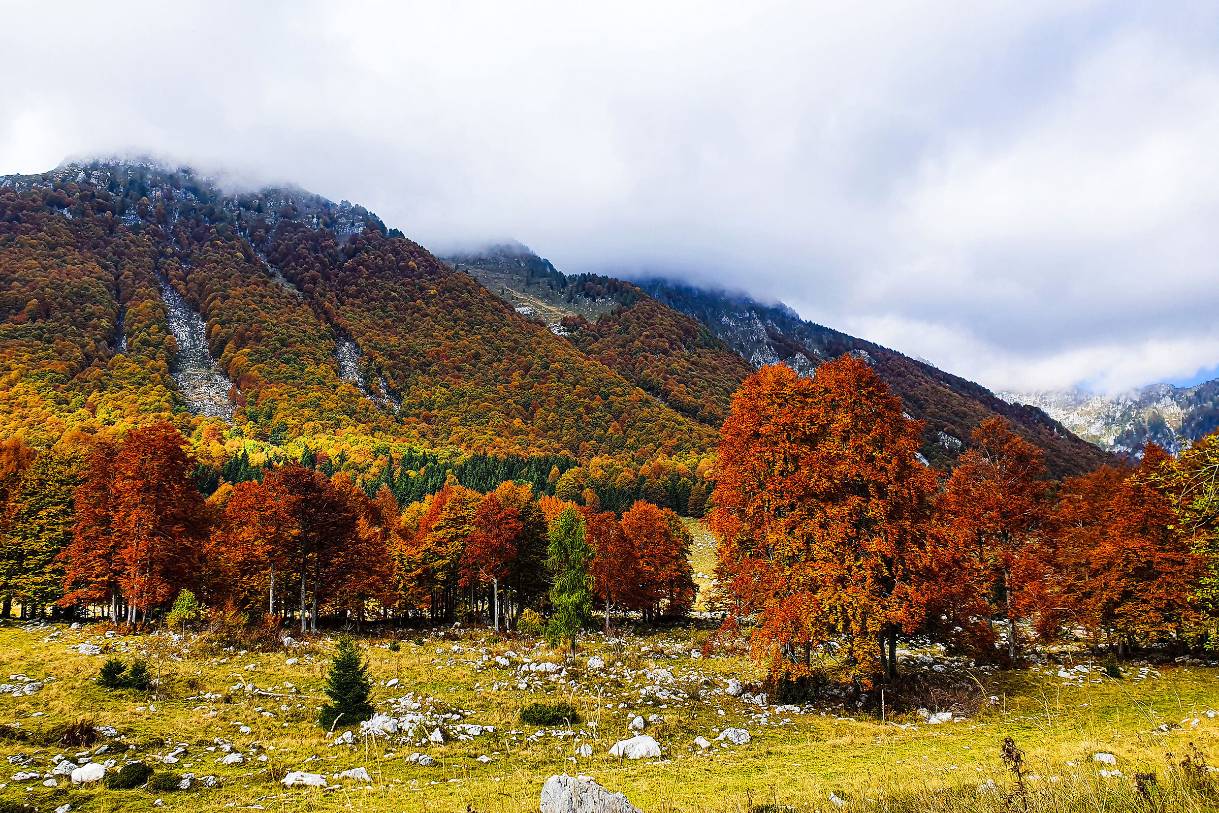 Piancavallo