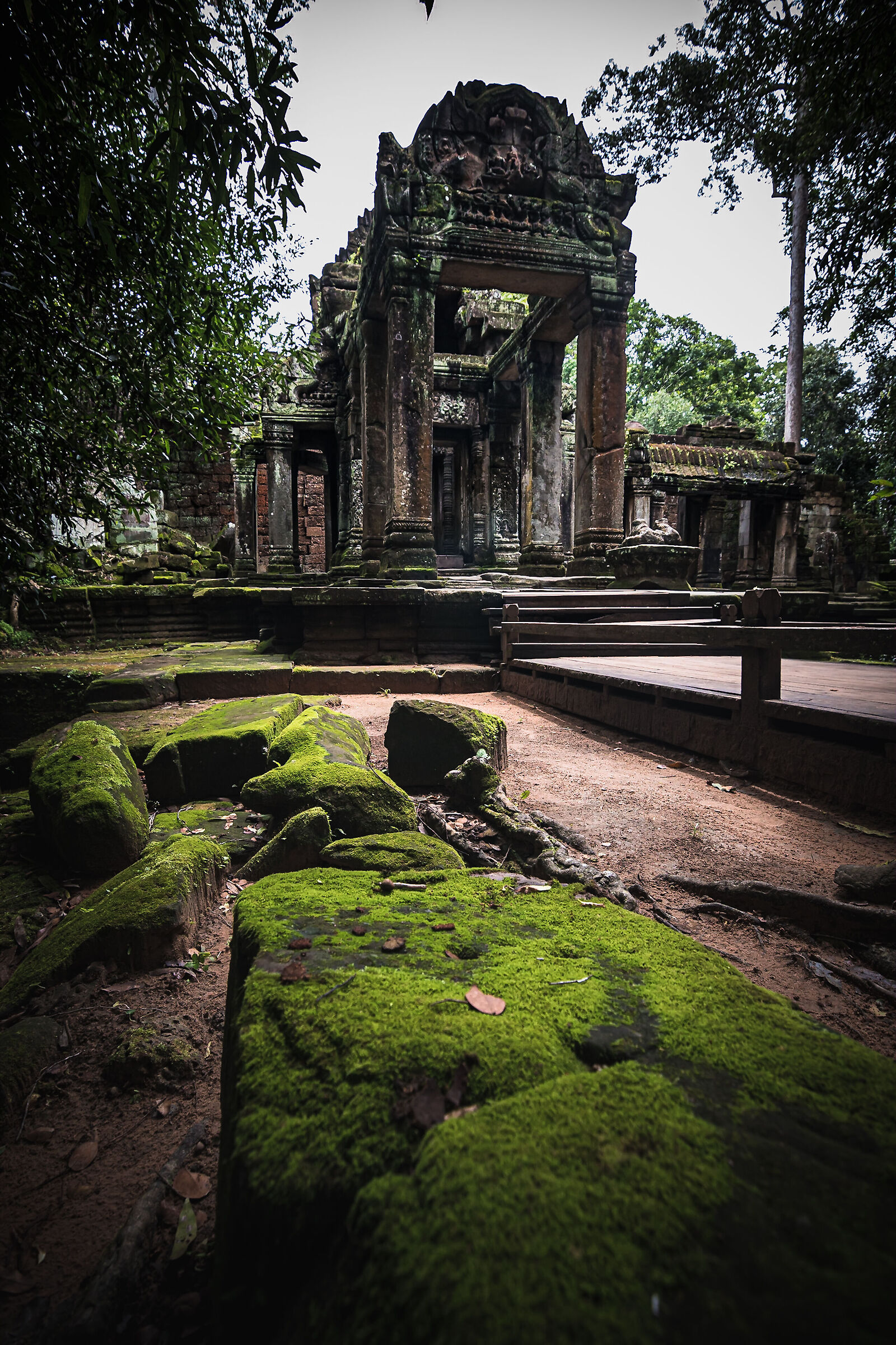 temple Ta Prohm Kel 1