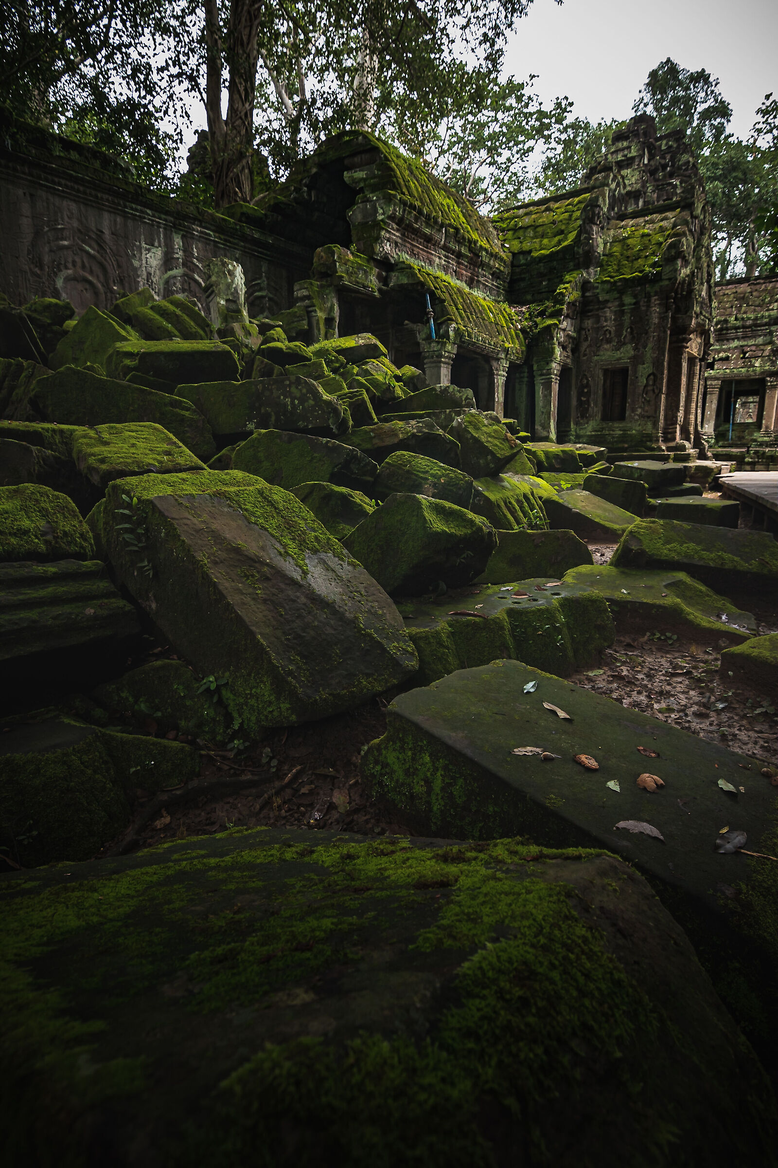 temple Ta Prohm Kel 2