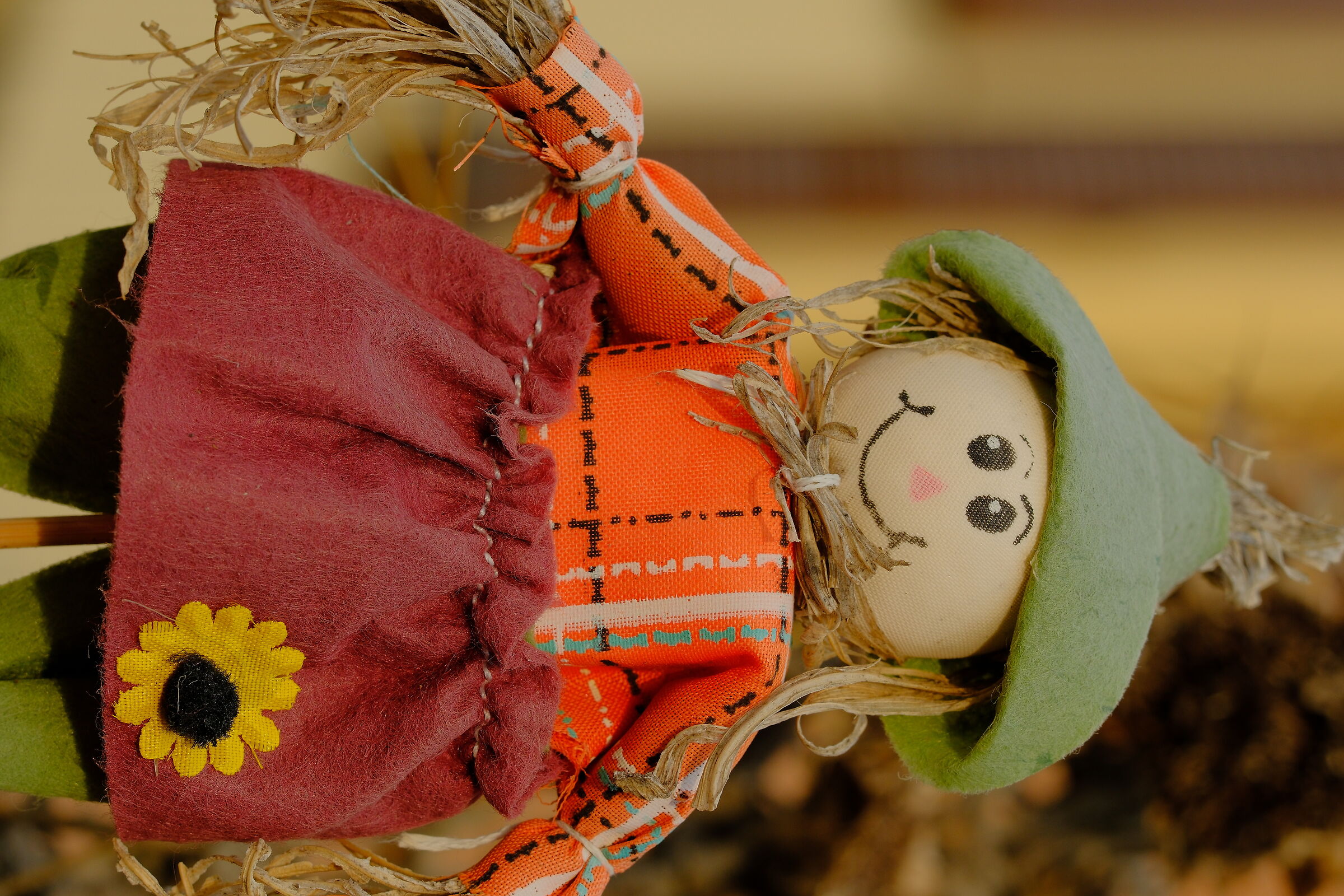 Scarecrow at 40 Mpixel