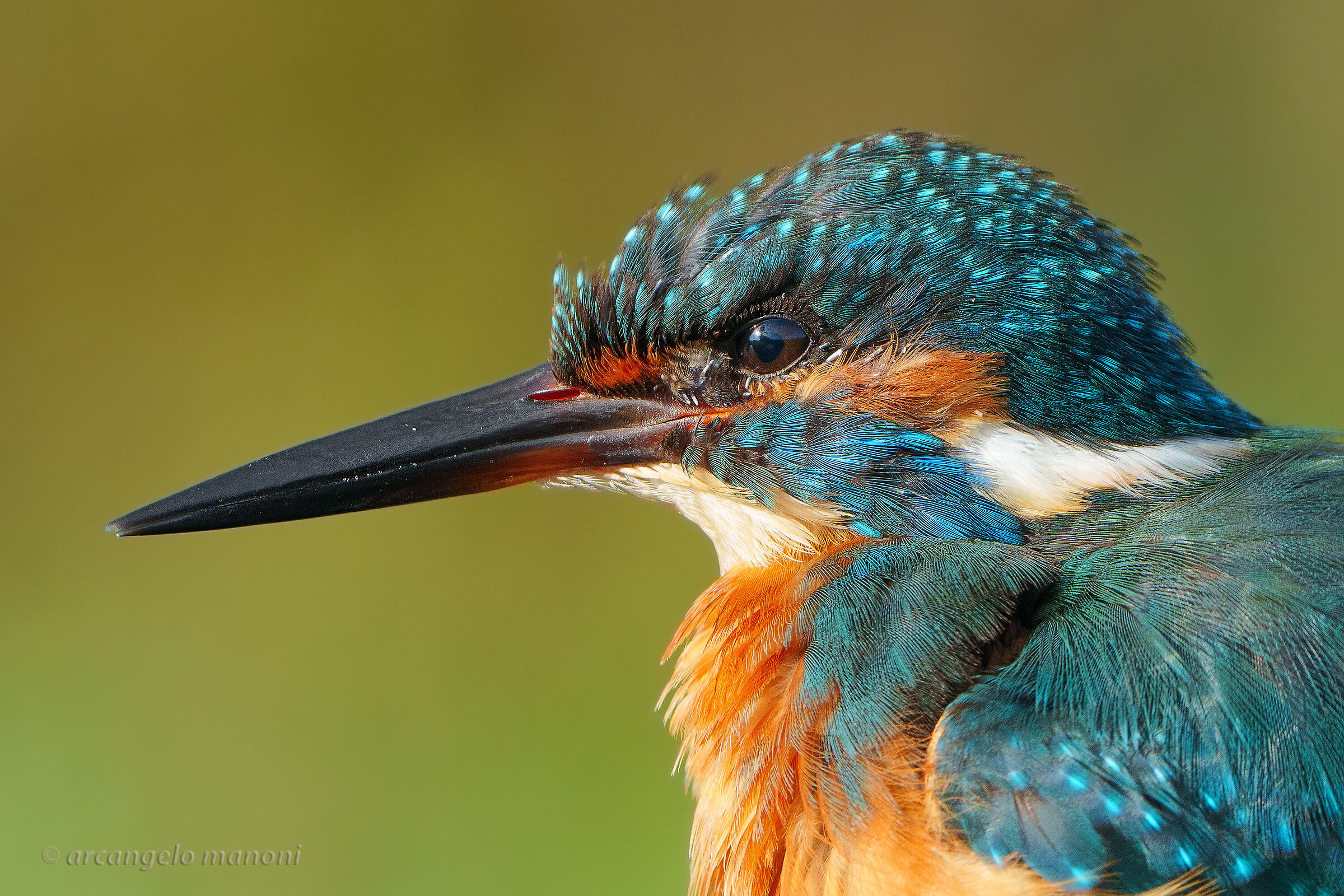 When details make the difference