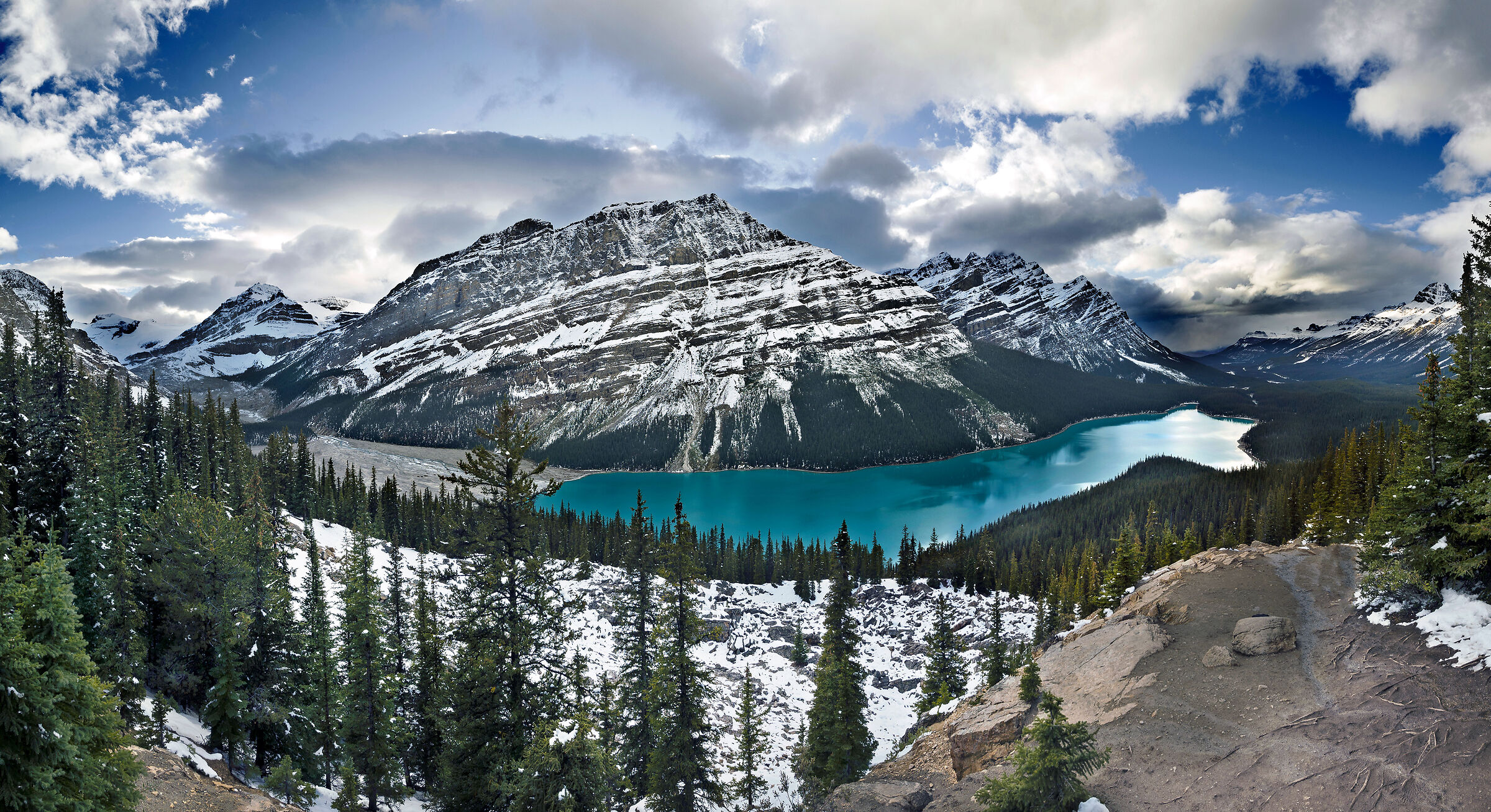 Peyto lake