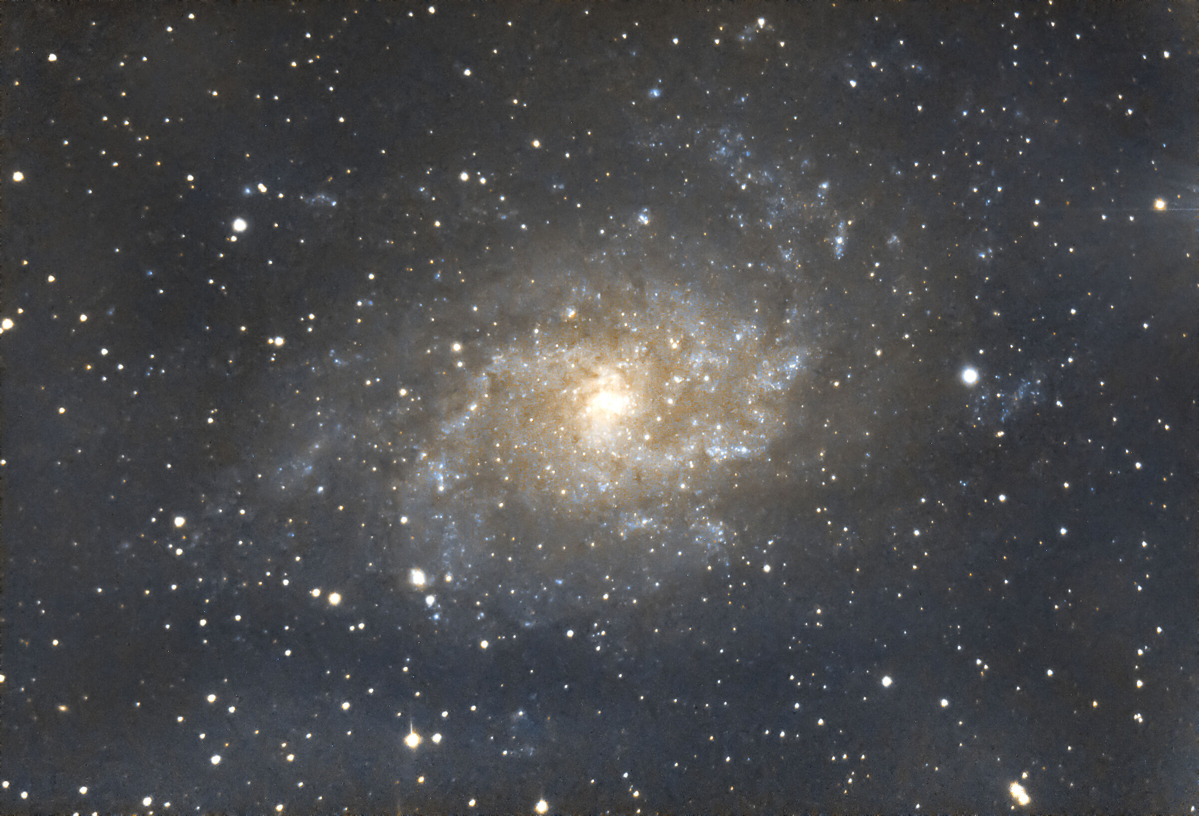 M33 figlia del C8