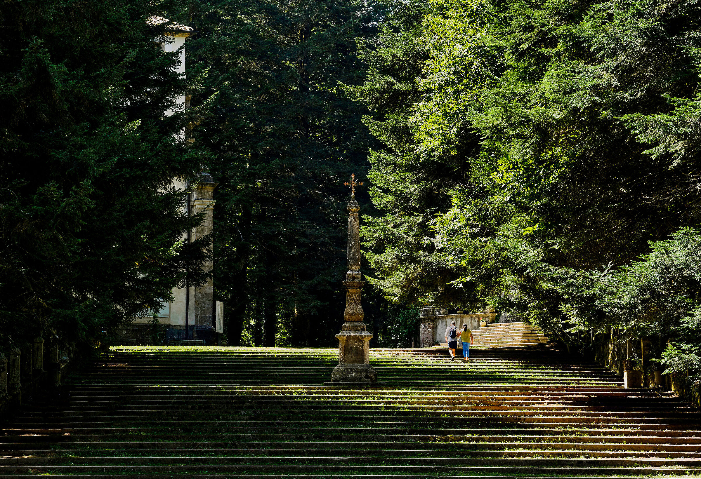 Santa Maria del Bosco