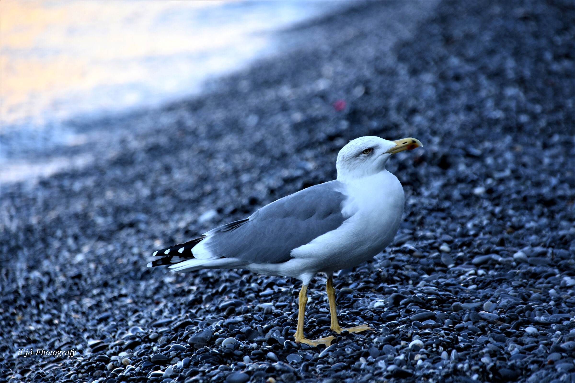 Untitled Photo