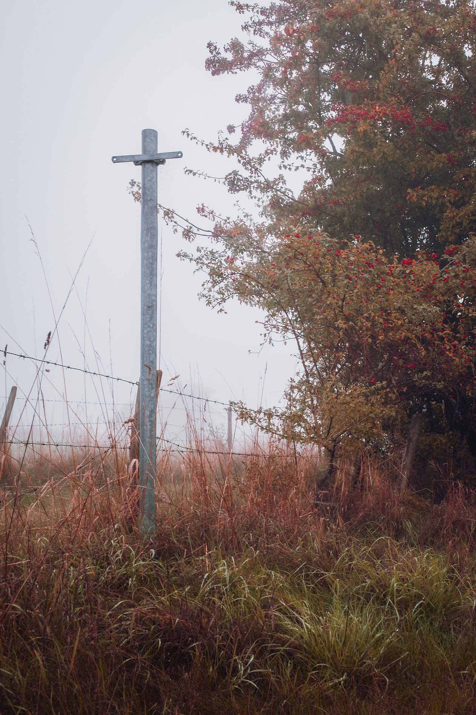 Fog in Finkenwerder