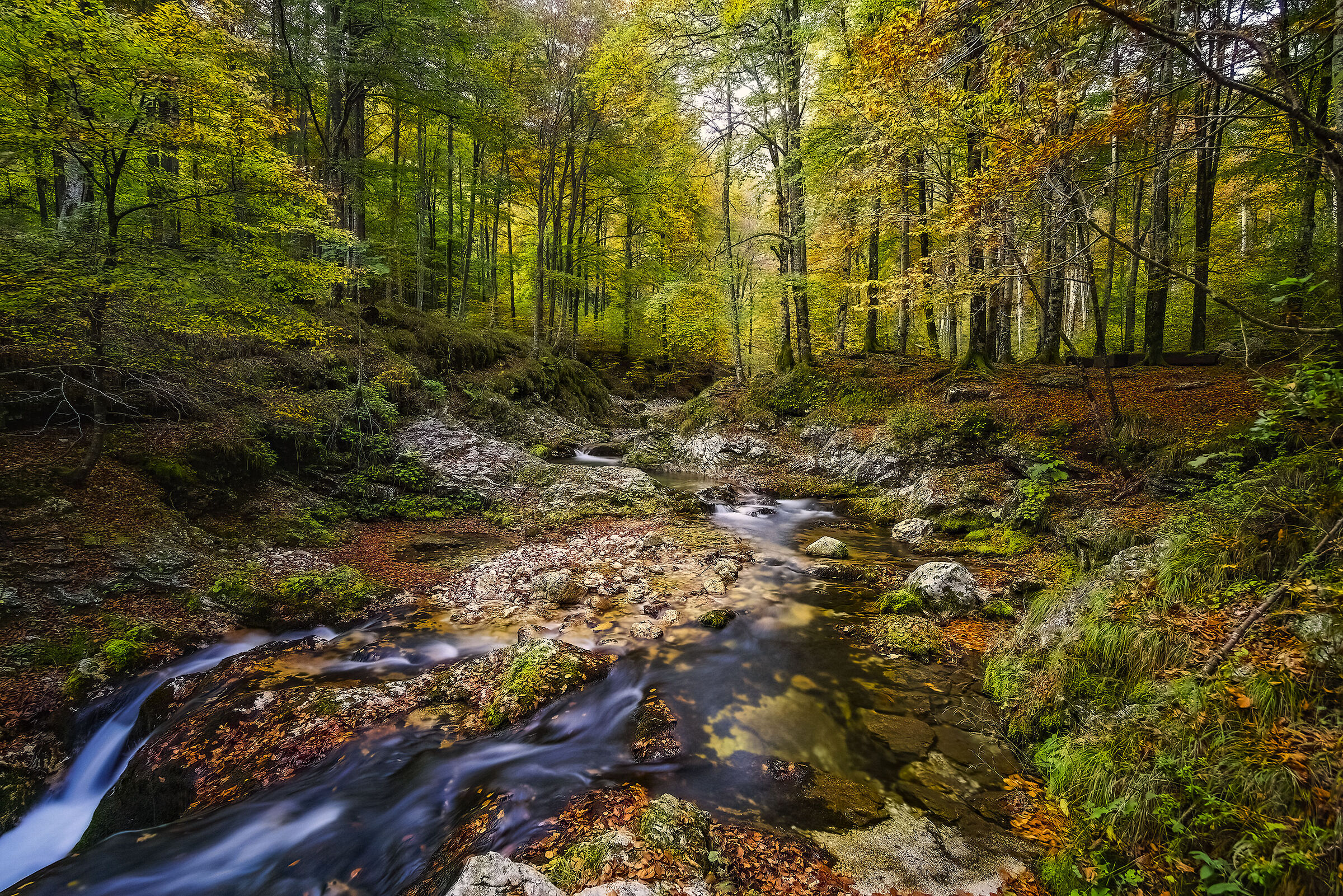 Autumn in Val Arzino