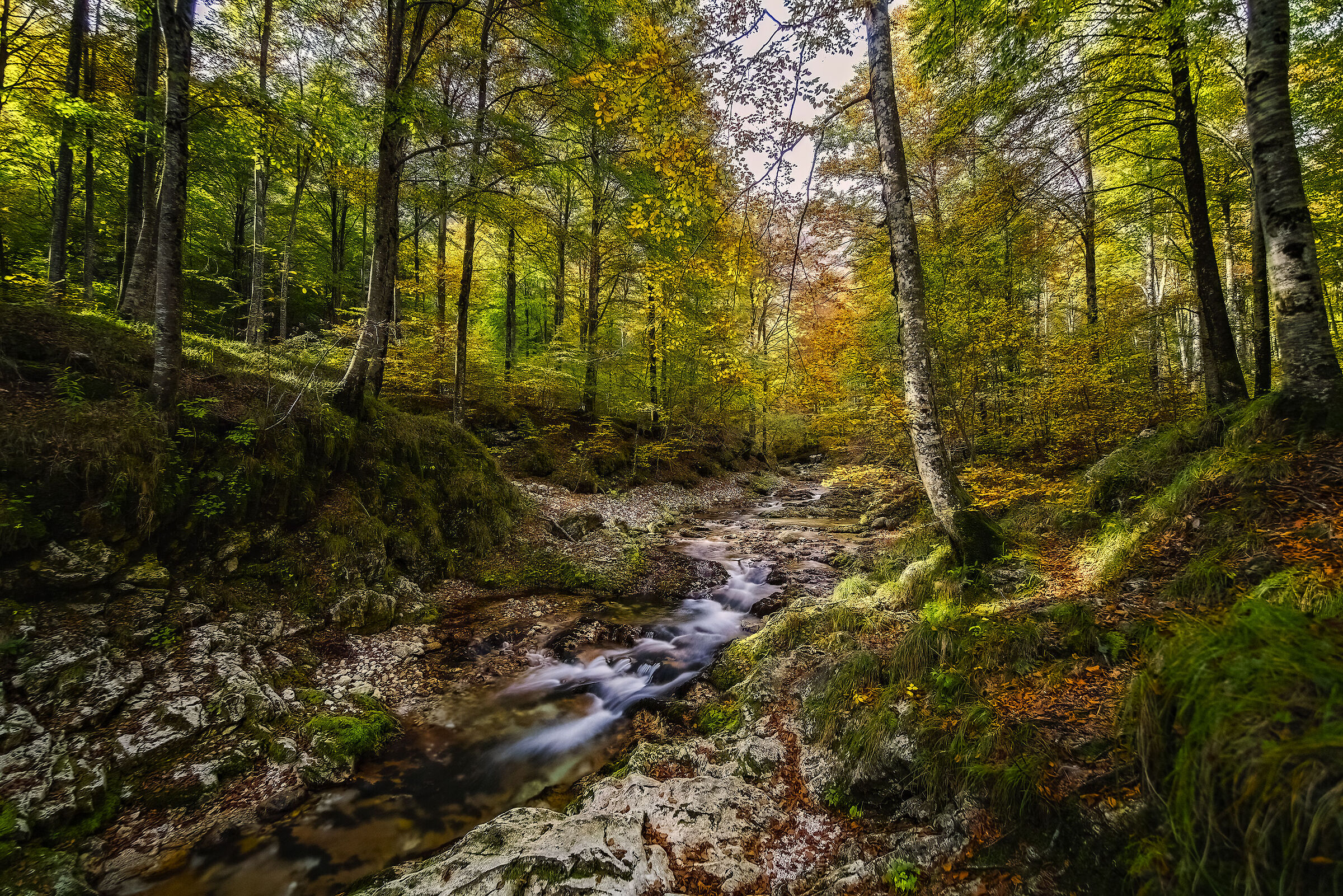 Autumn in Val Arzino