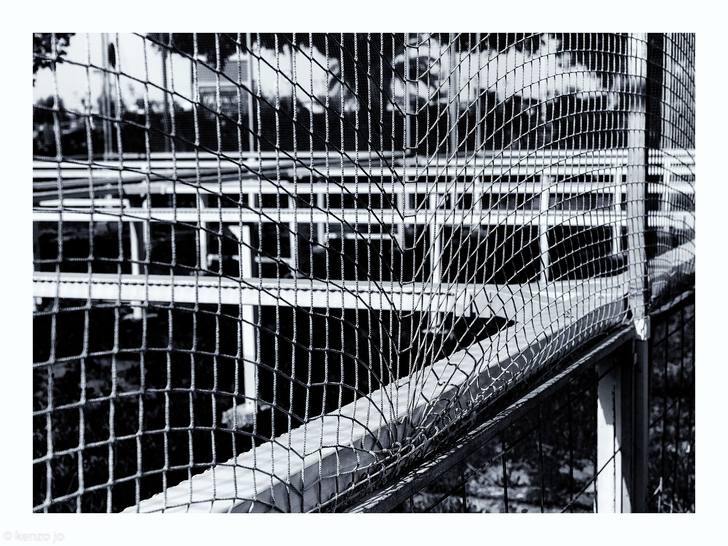 Geometrie non euclidee