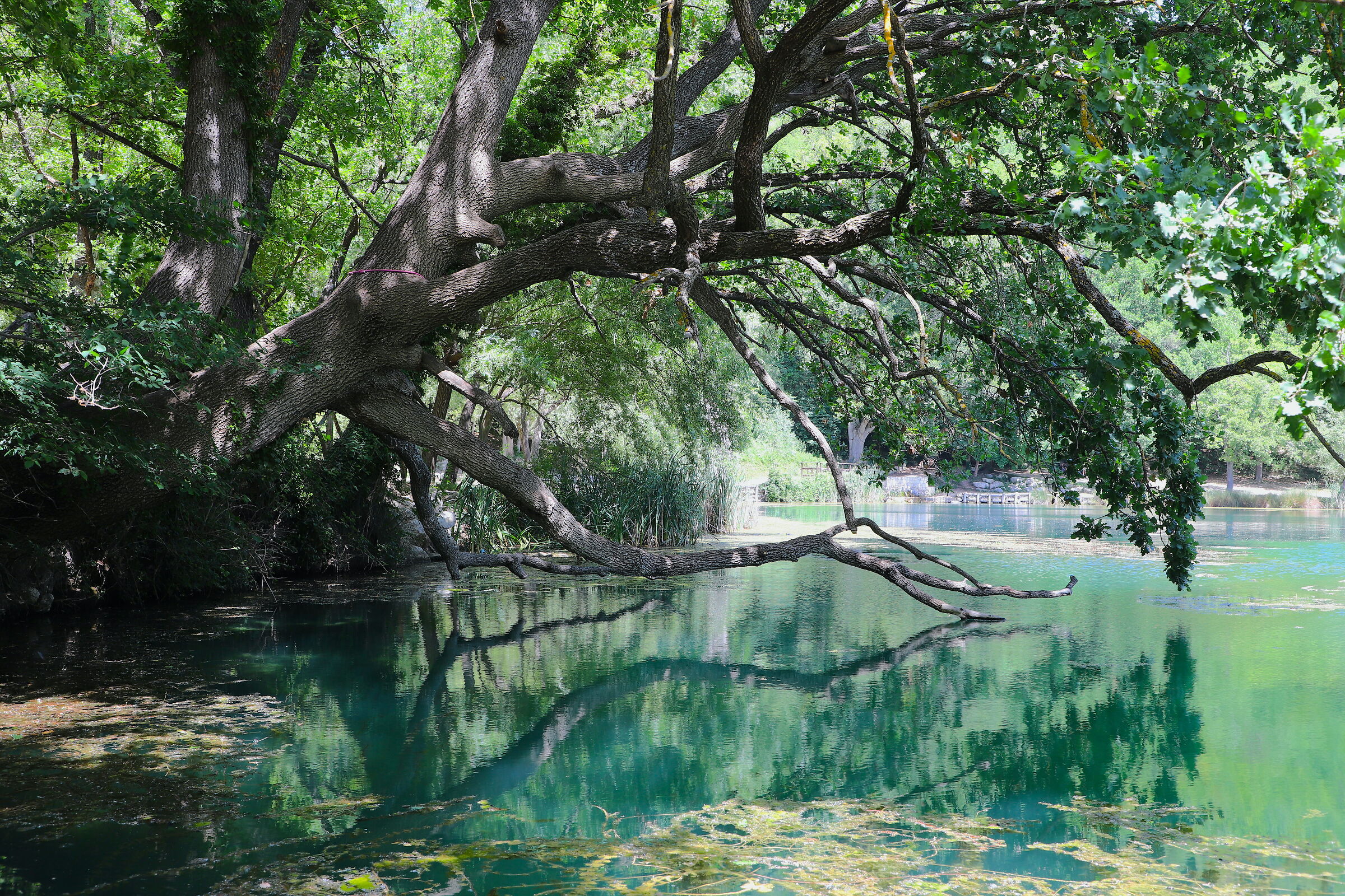 Lago Sinizzo