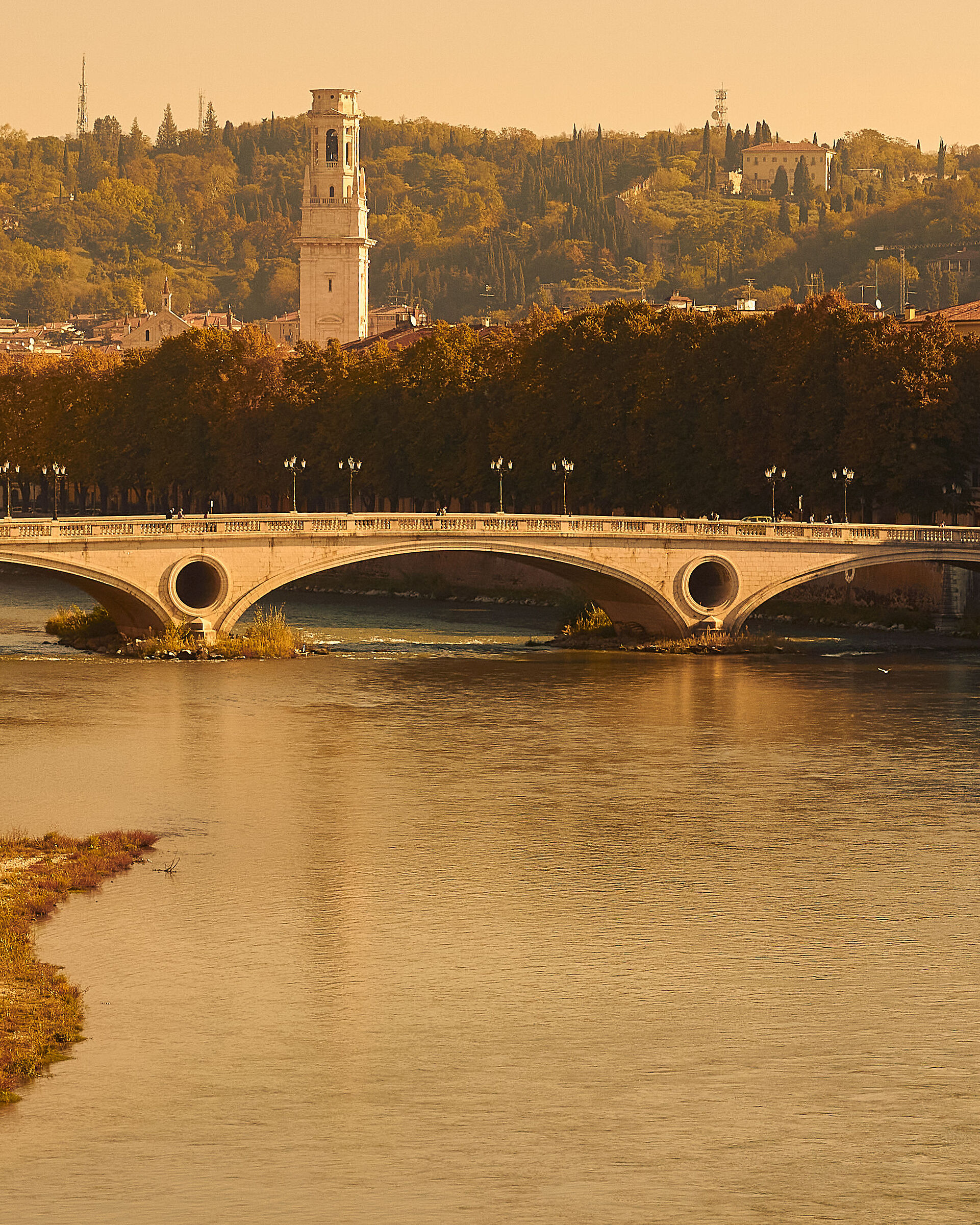 Cartolina dall'Adige