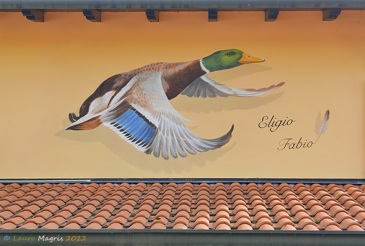 Mallard