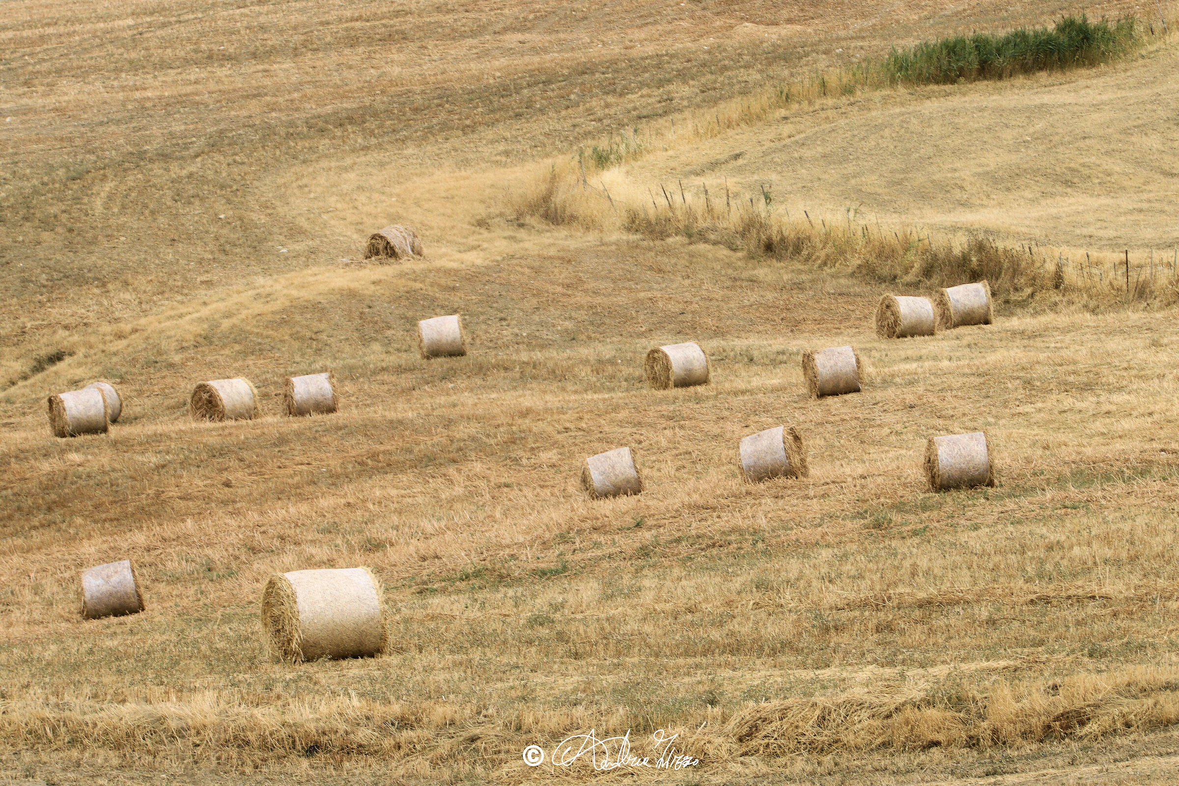 é solo qualche rotolo