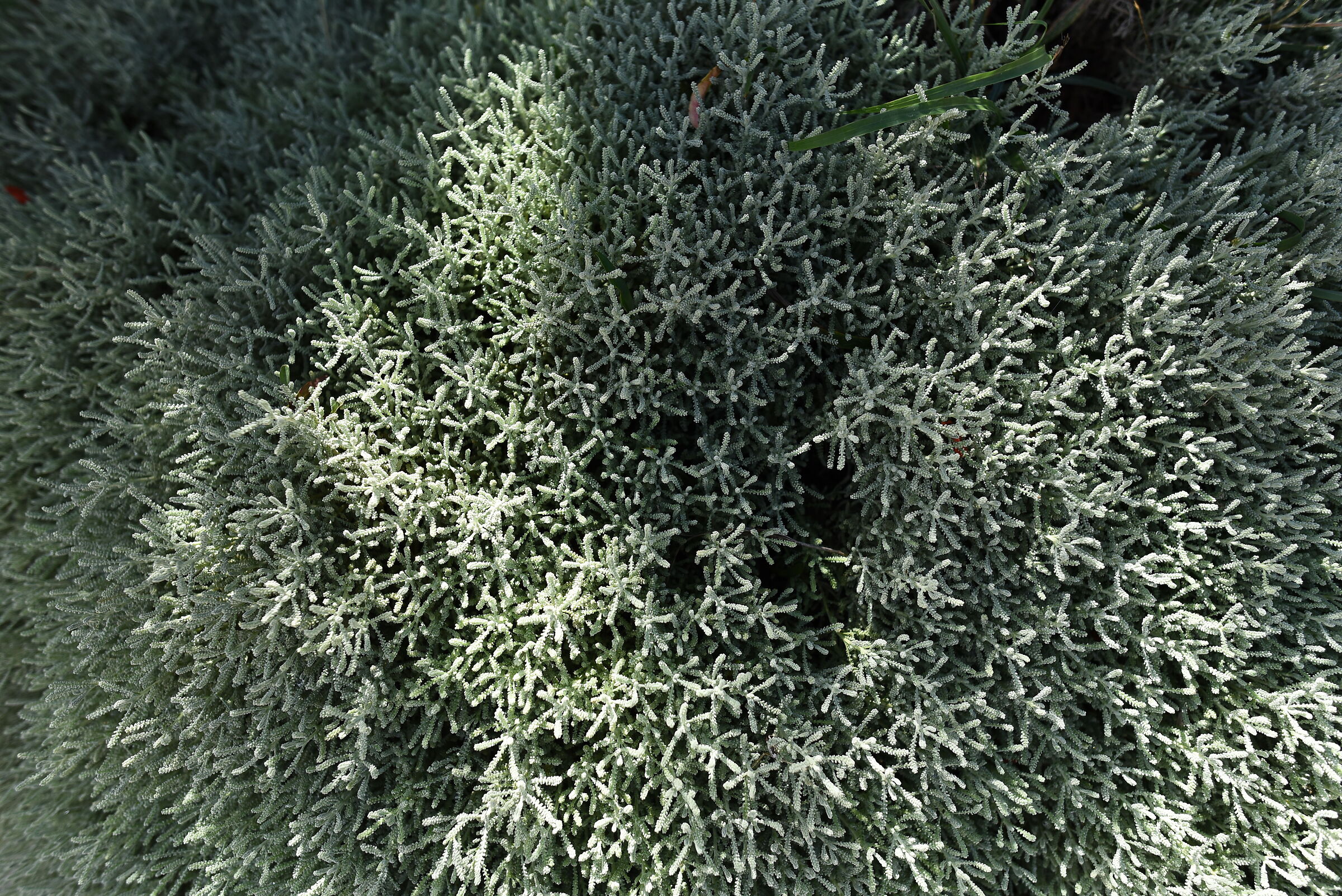 " F. 2.8 ", 1/ 4.0 0 0, ISO 500- Nikon 28, 1.4 E ED