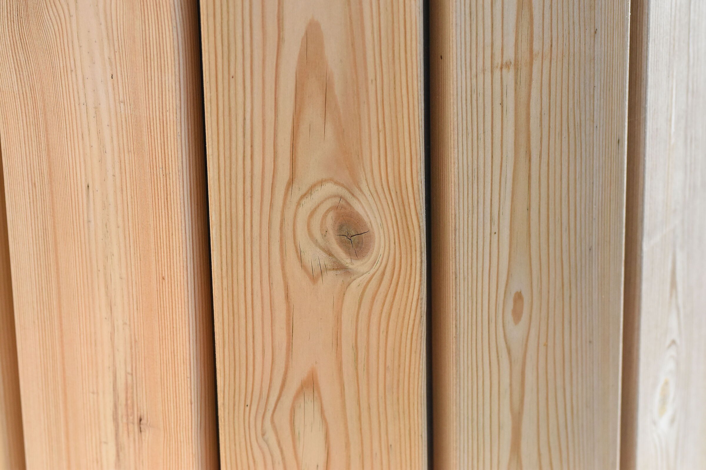 " 1/ 8.0 0 0 ", F. 4.8, ISO 2.0 0 0- Sigma 85, 1.4...