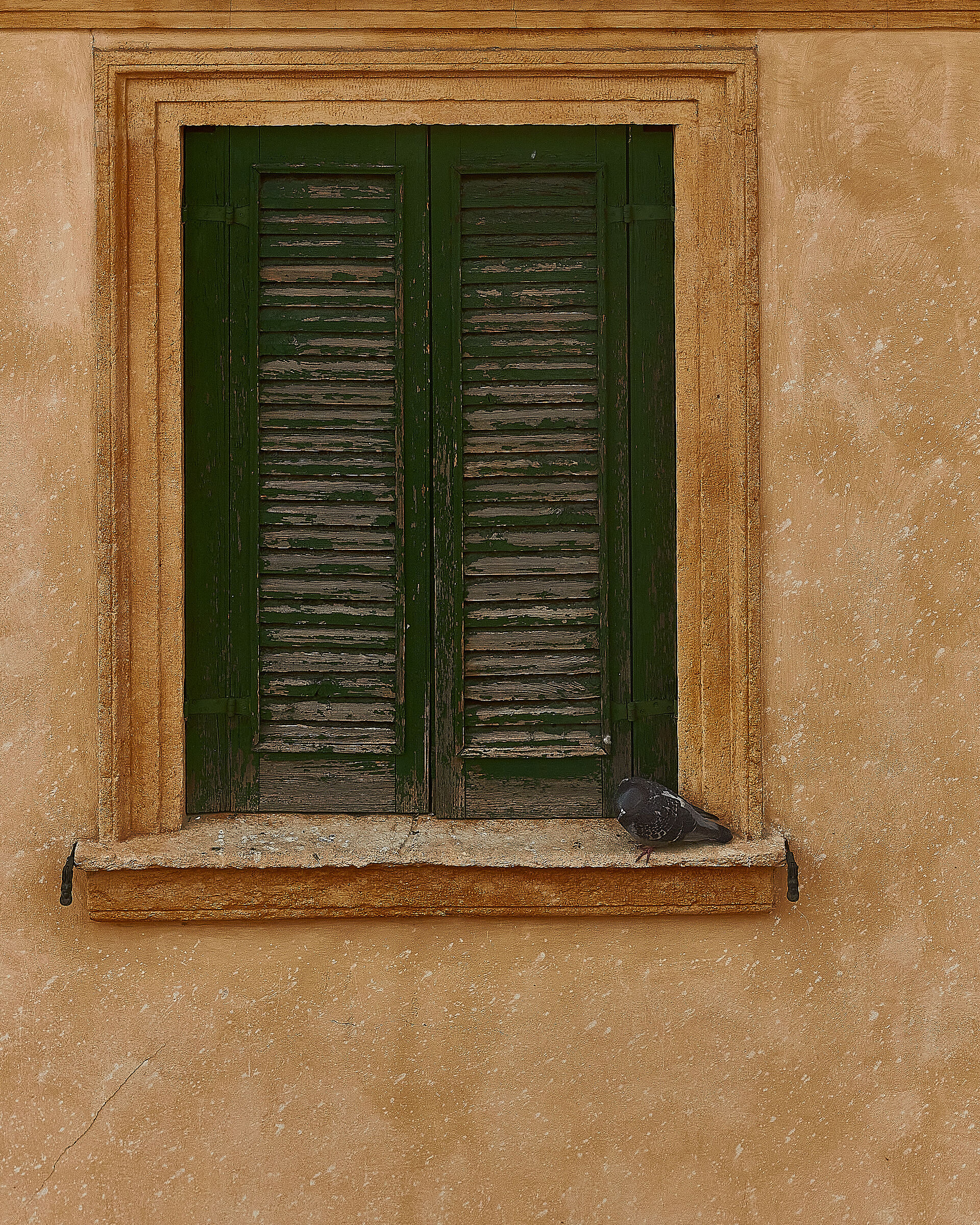 Sentinella di strada