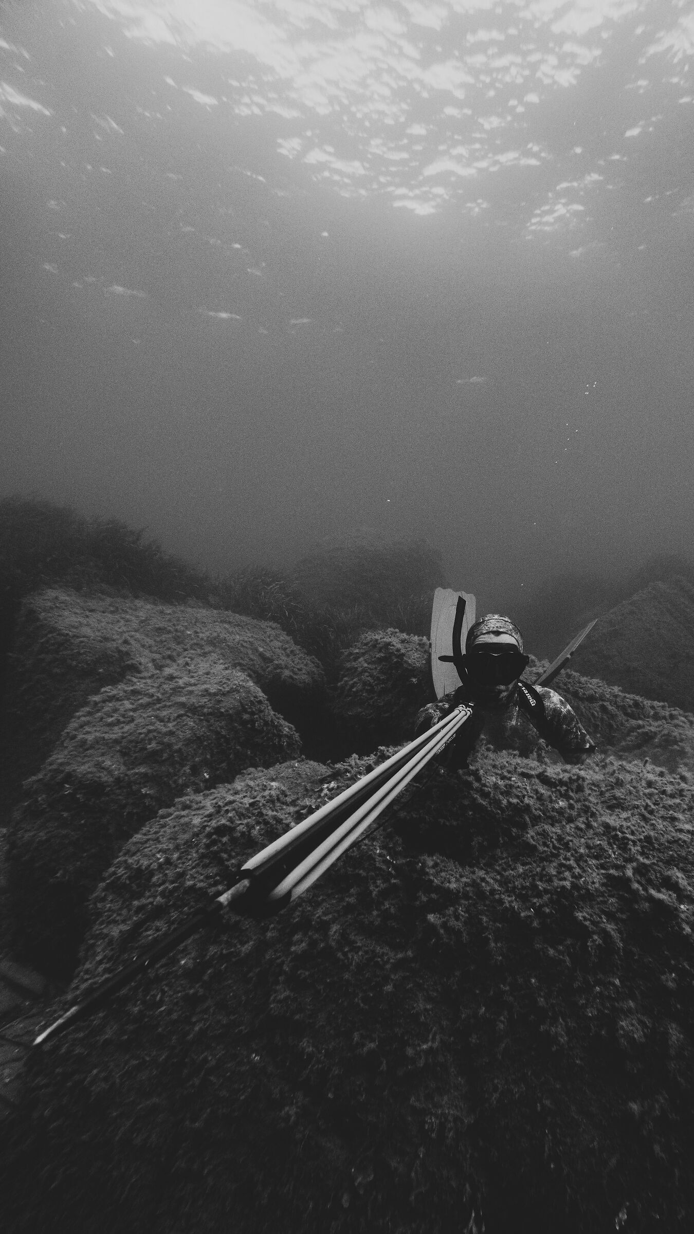 Spearfisher