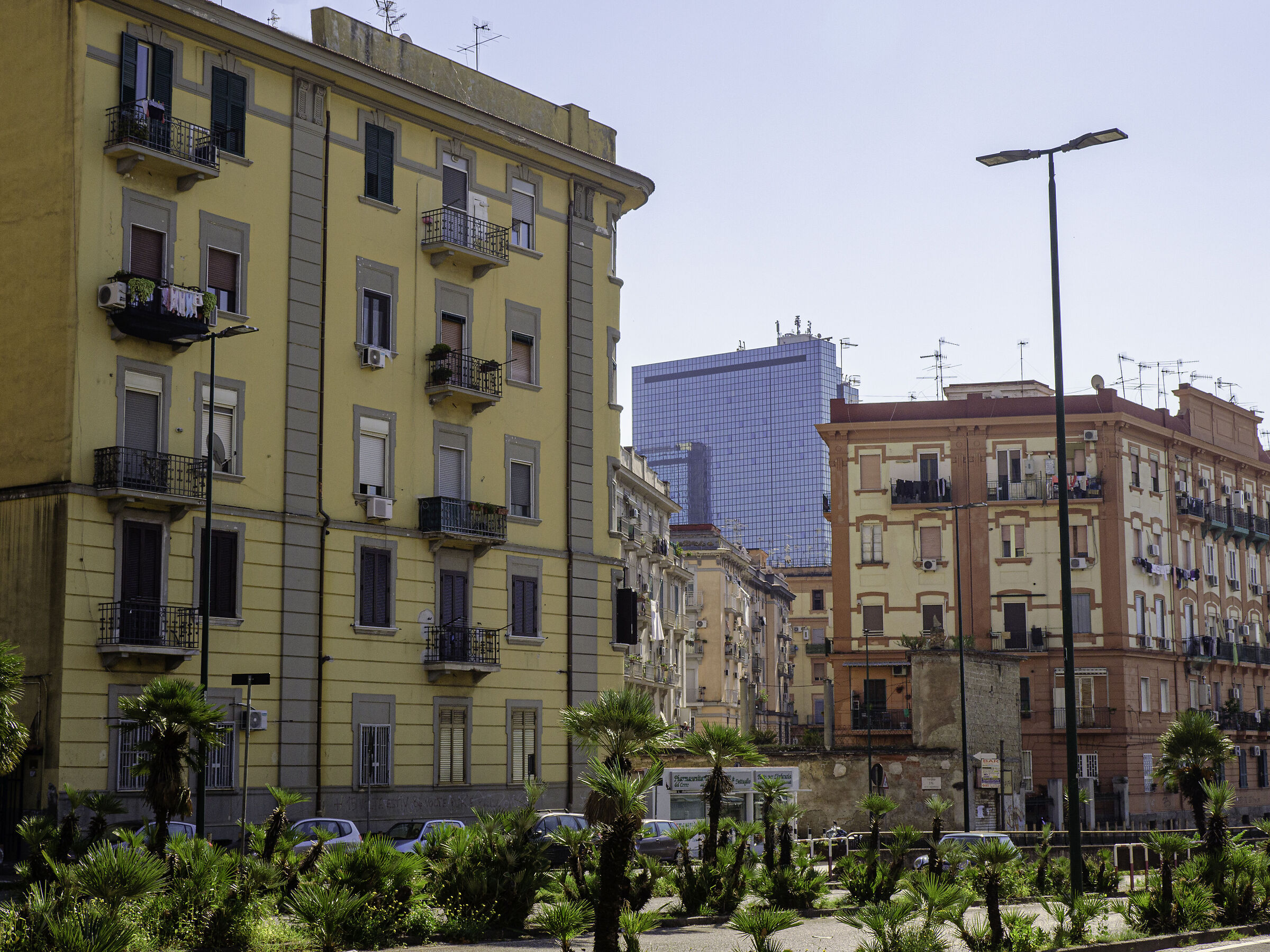 Napoli-CDN Il nuovo che avanza...