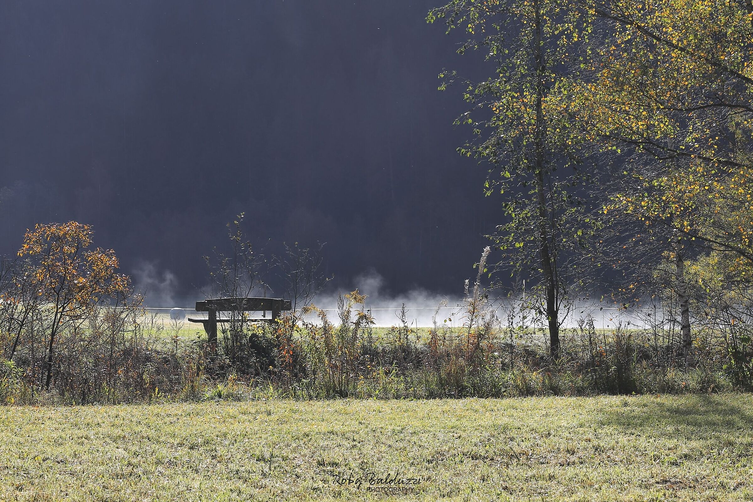Panchina fra le nebbie mattutine