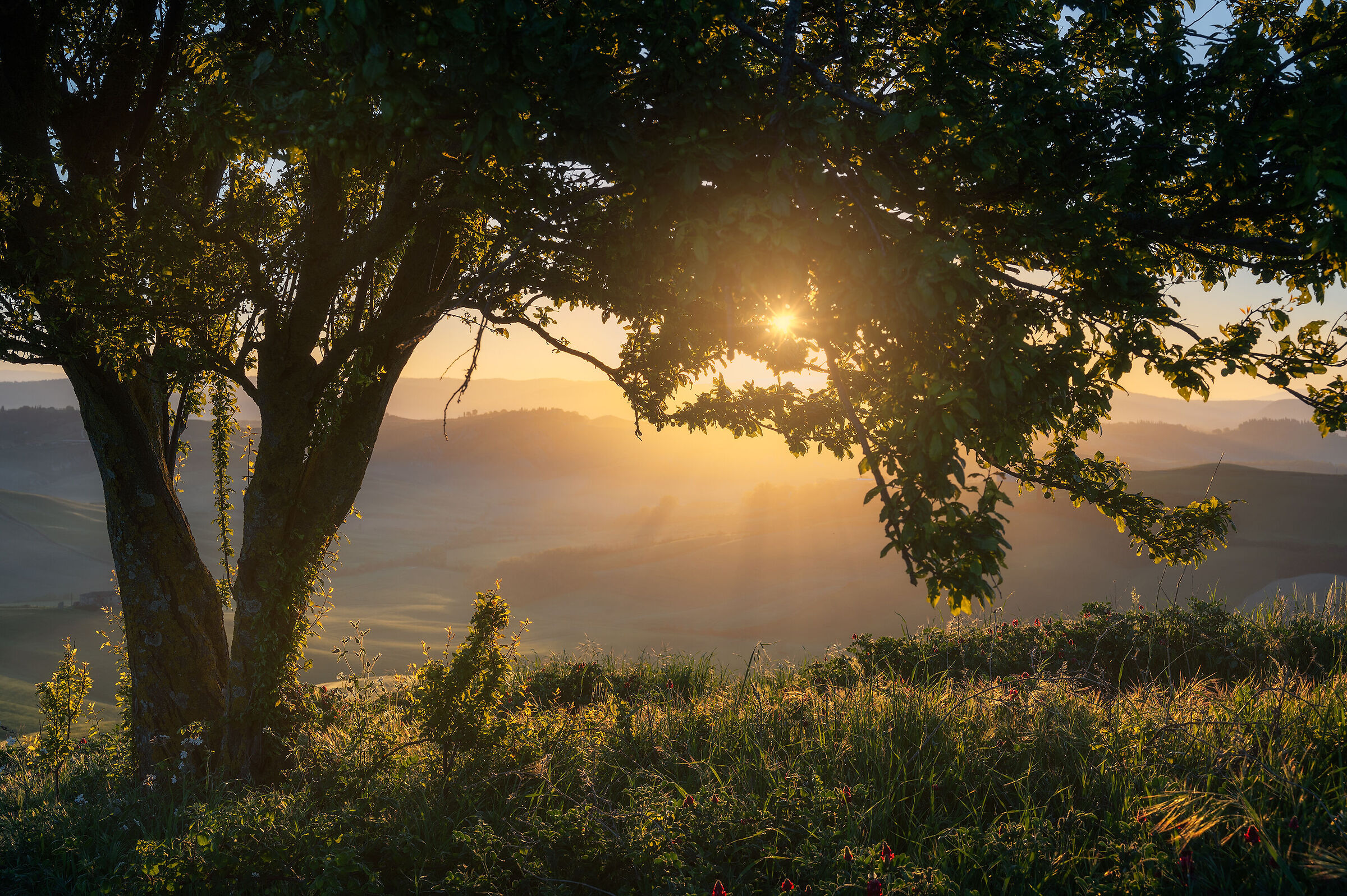 Nuovo giorno, nuova luce