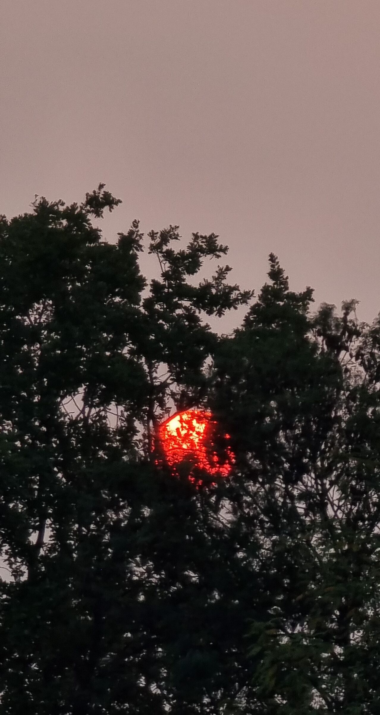 Sole fiammegiante