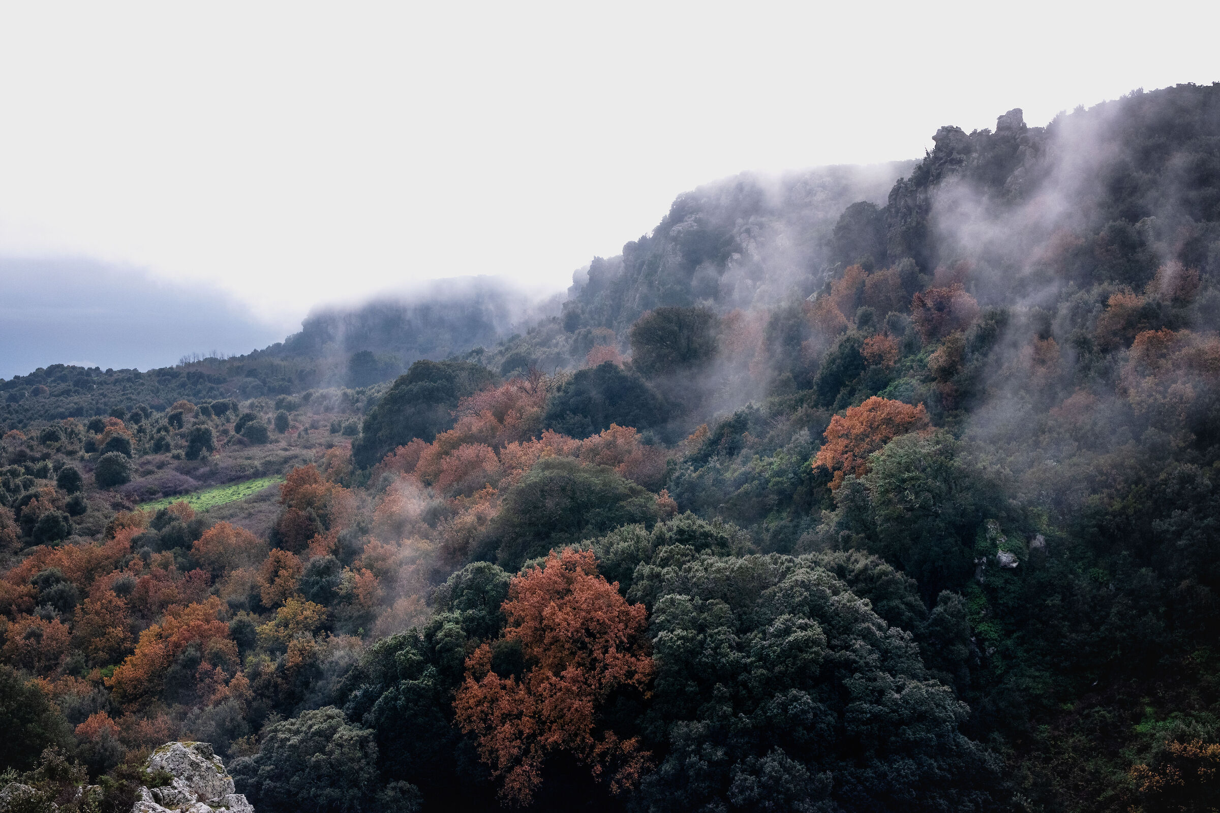 Monte Arci - versante Est