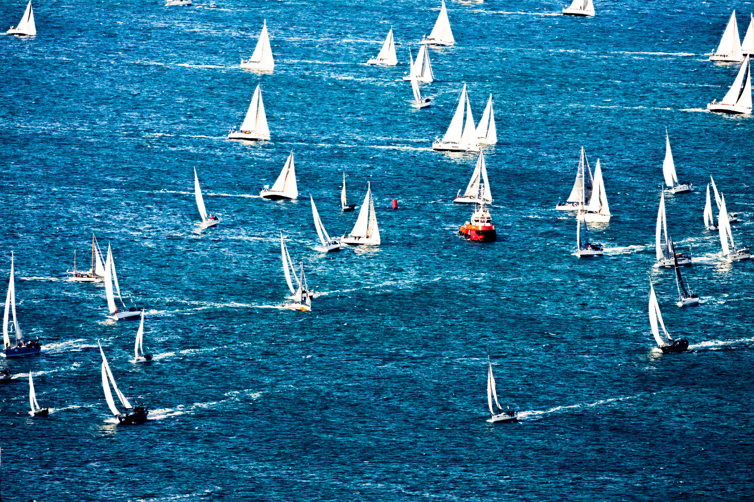 barcolana 54