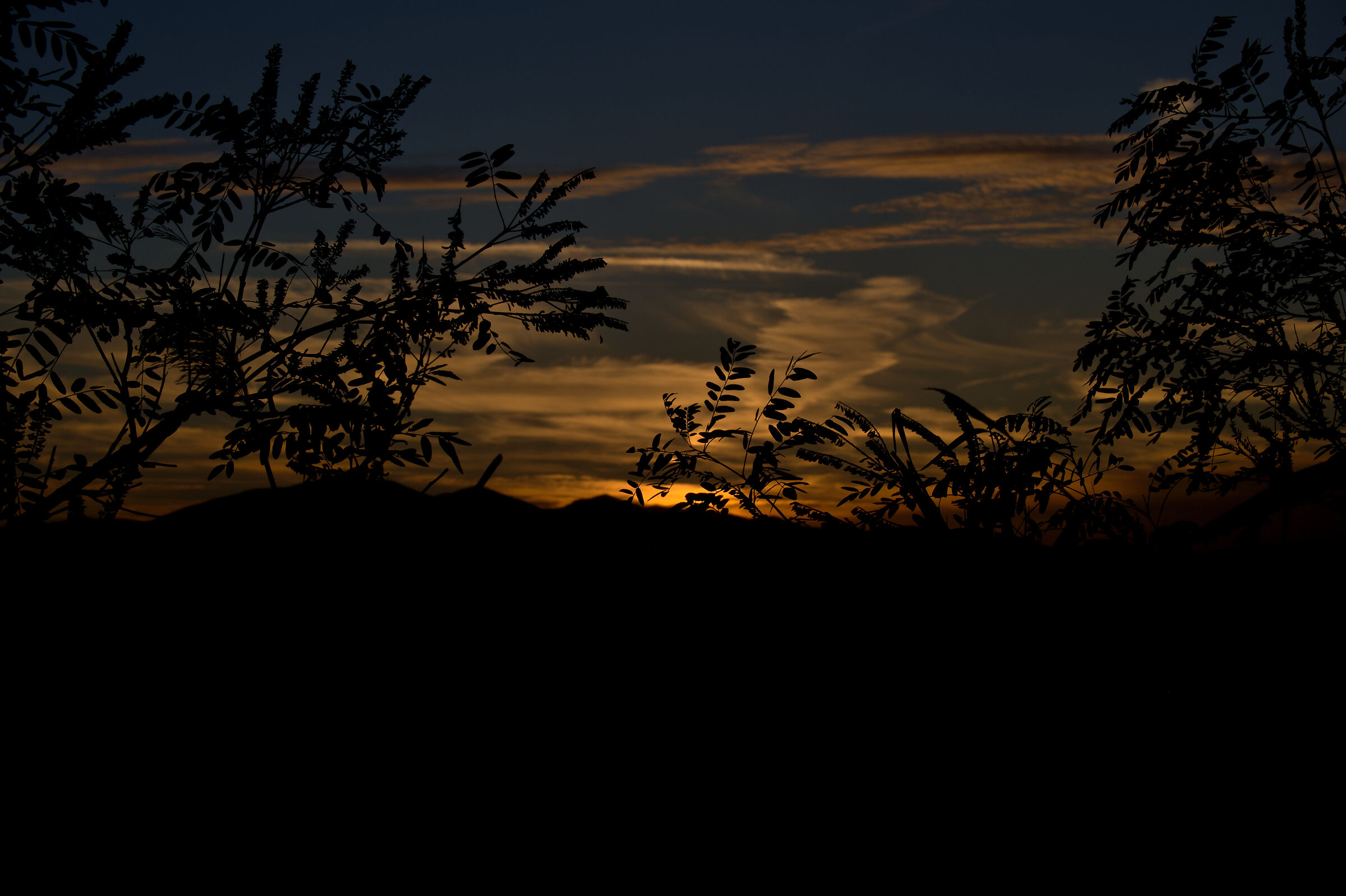 Tramonto al Padule di Fucecchio