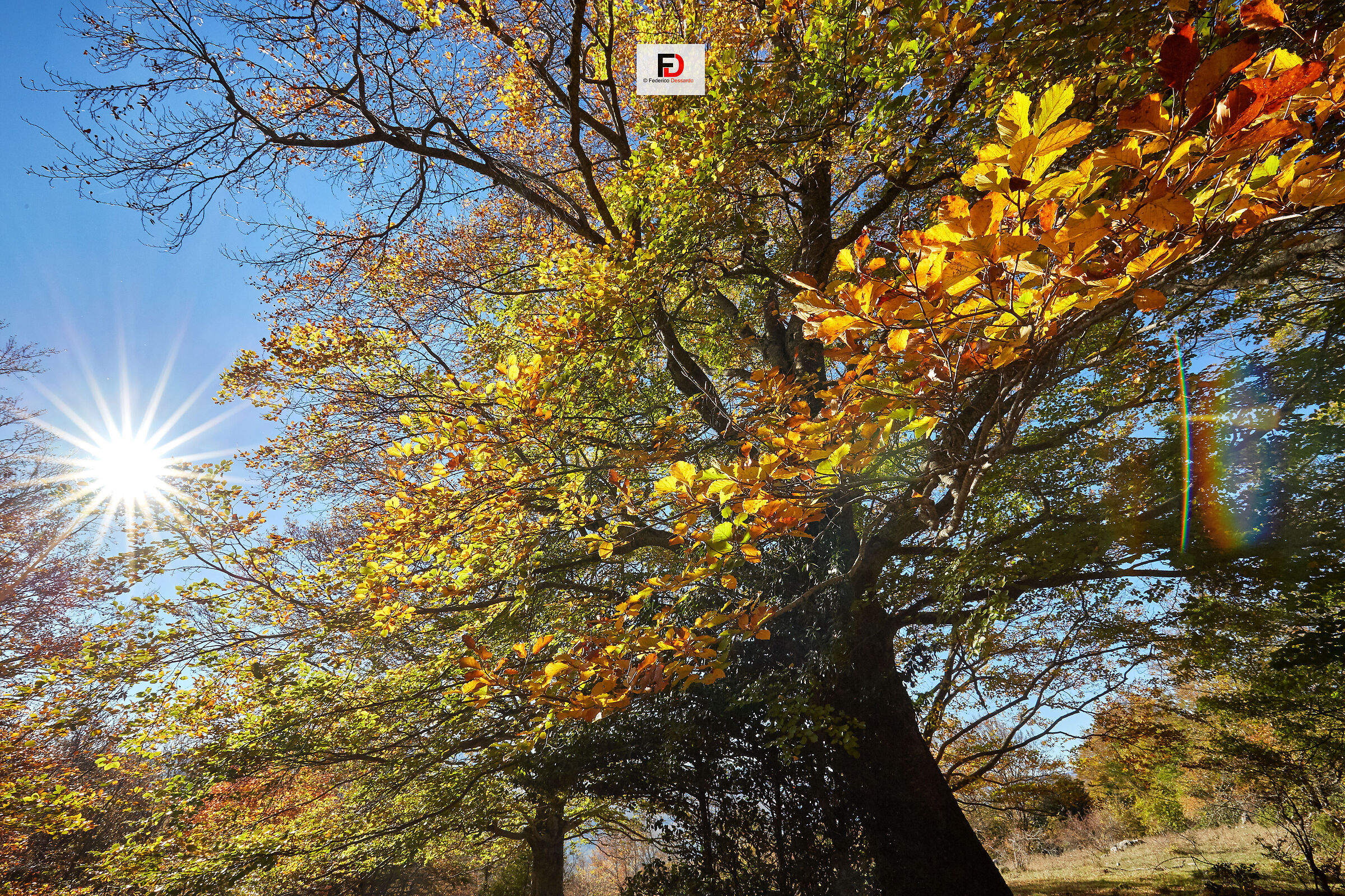 Sole d'autunno - Maiella Monte Porrara