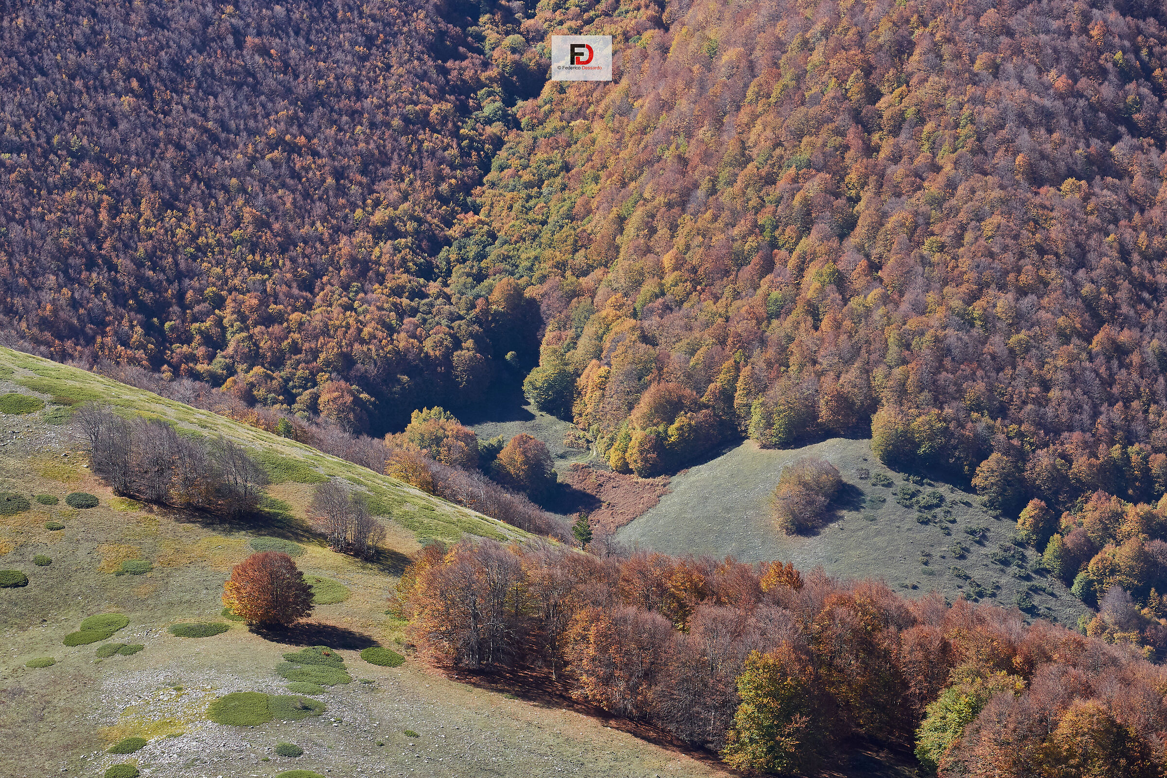 Vista del Monte Pizalto - Pescocostanzo AQ