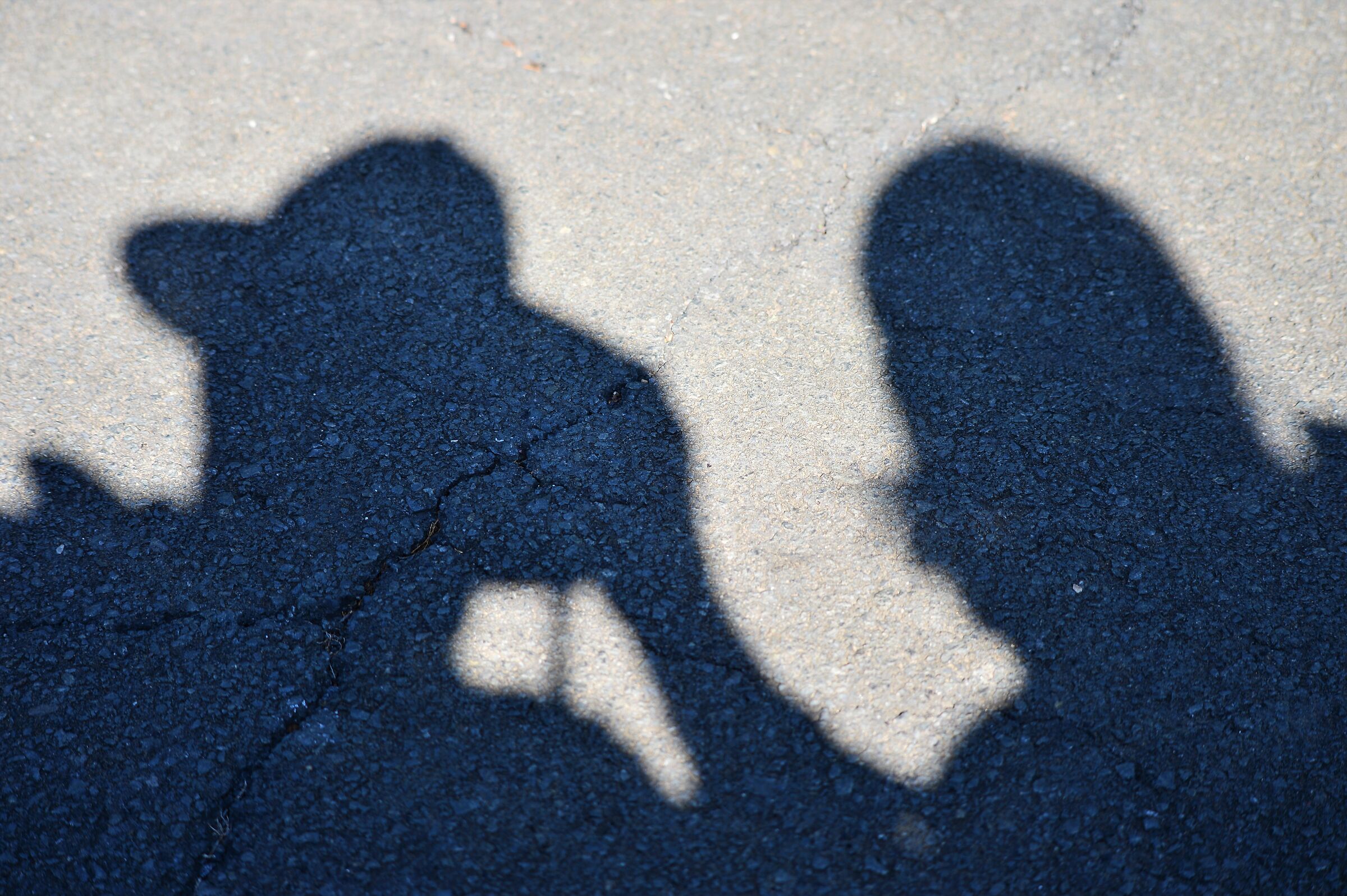 insieme fotografando