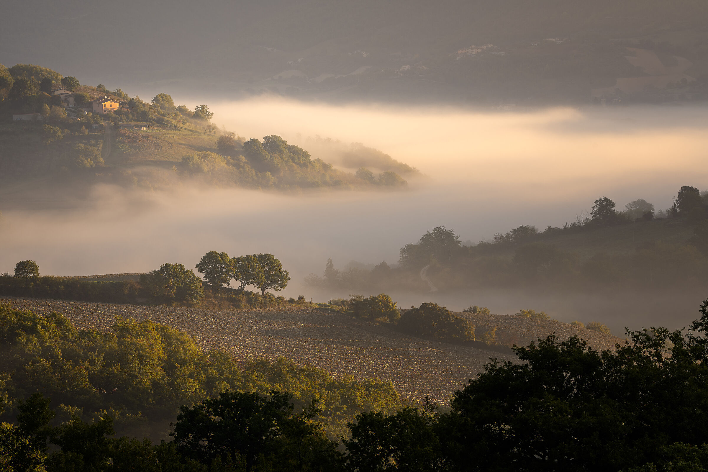 Prime luci di Ottobre
