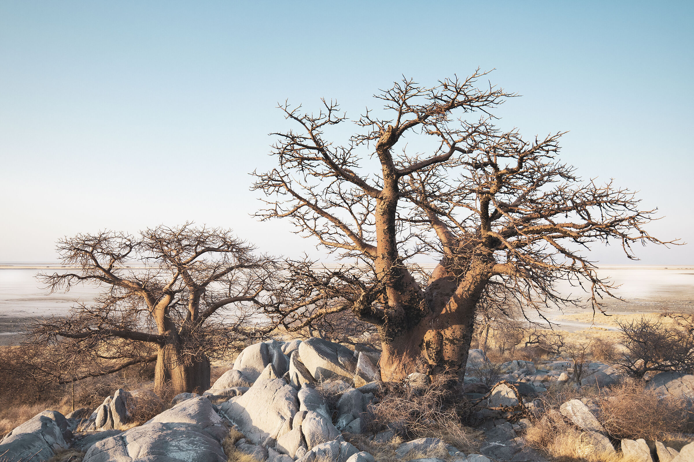 First lights on Kubu Island.