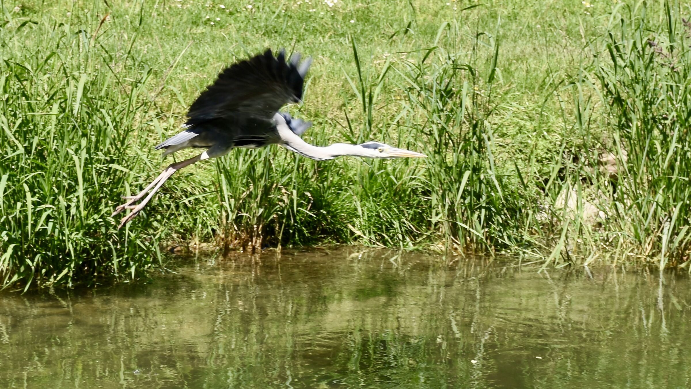 Overflight