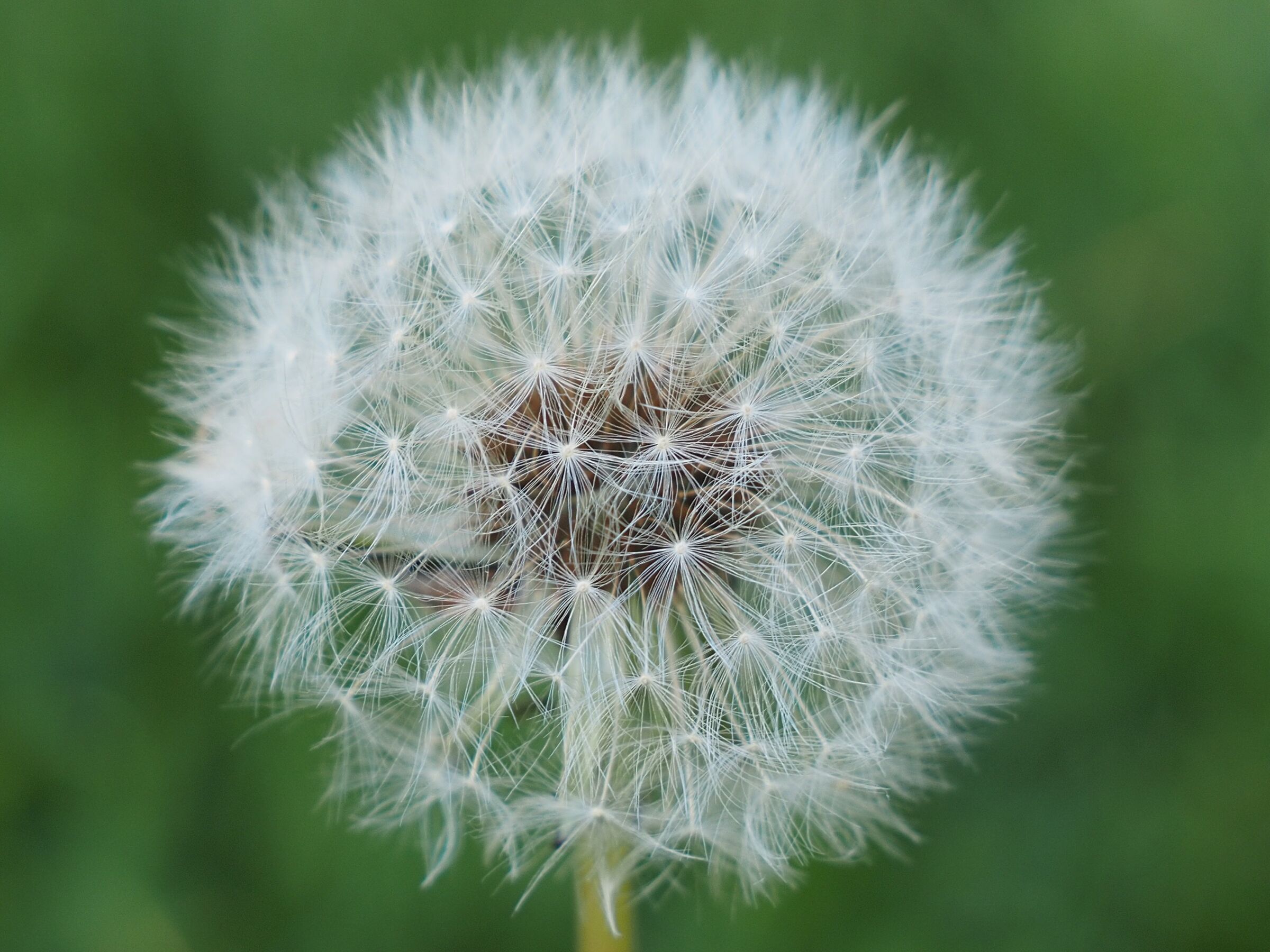 Breath or no blow...