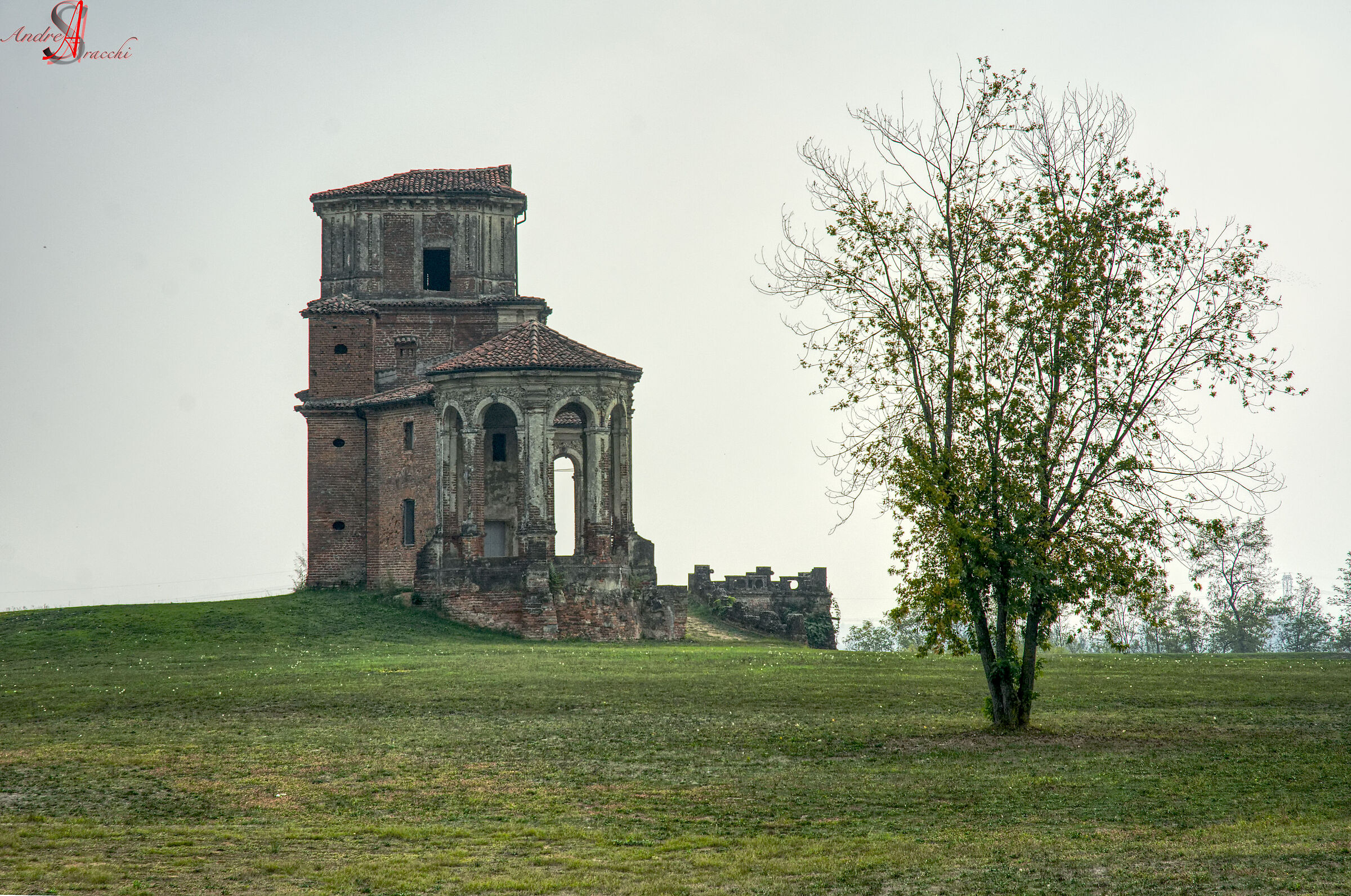 Untitled Photo