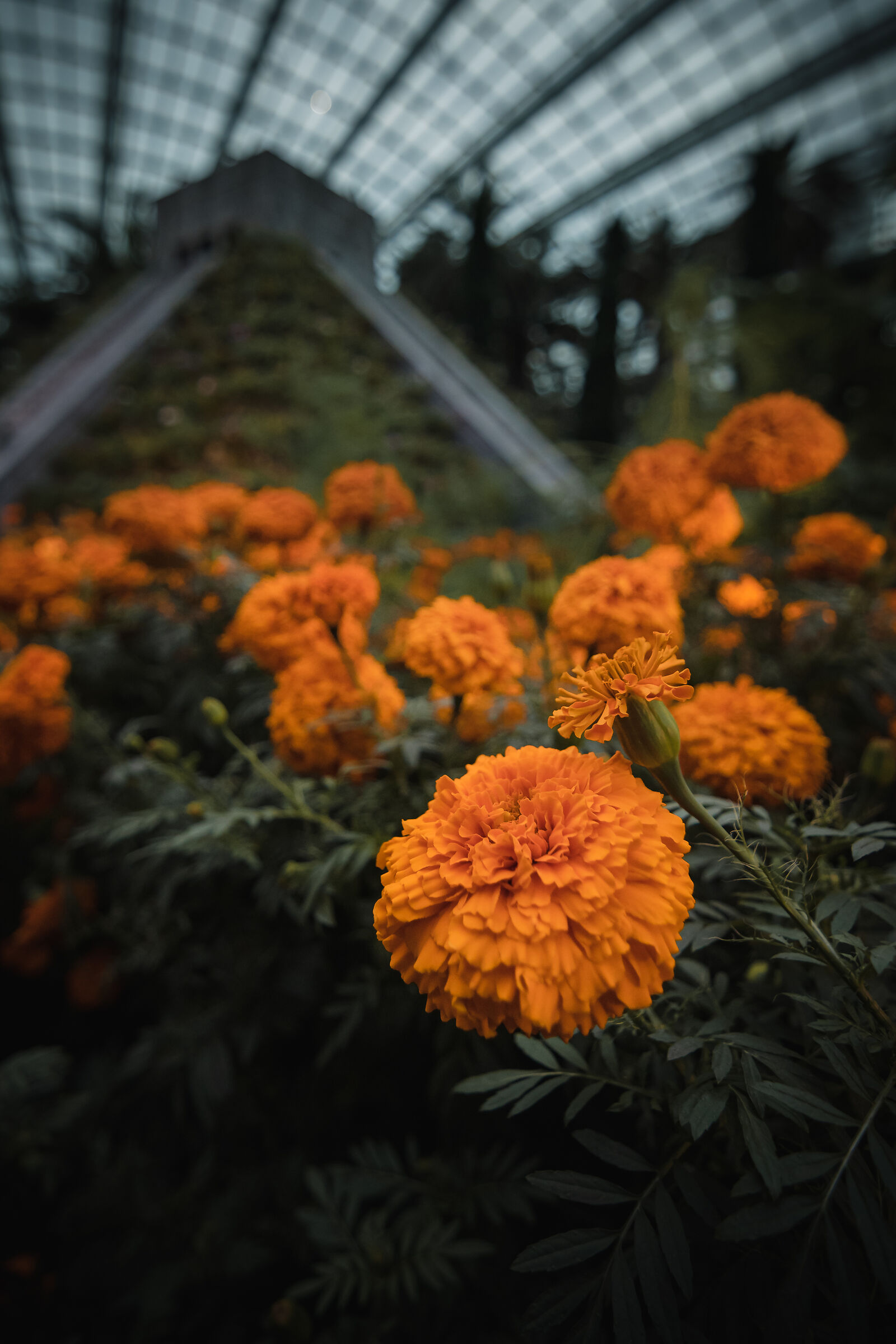 Garde a by the Bay 1