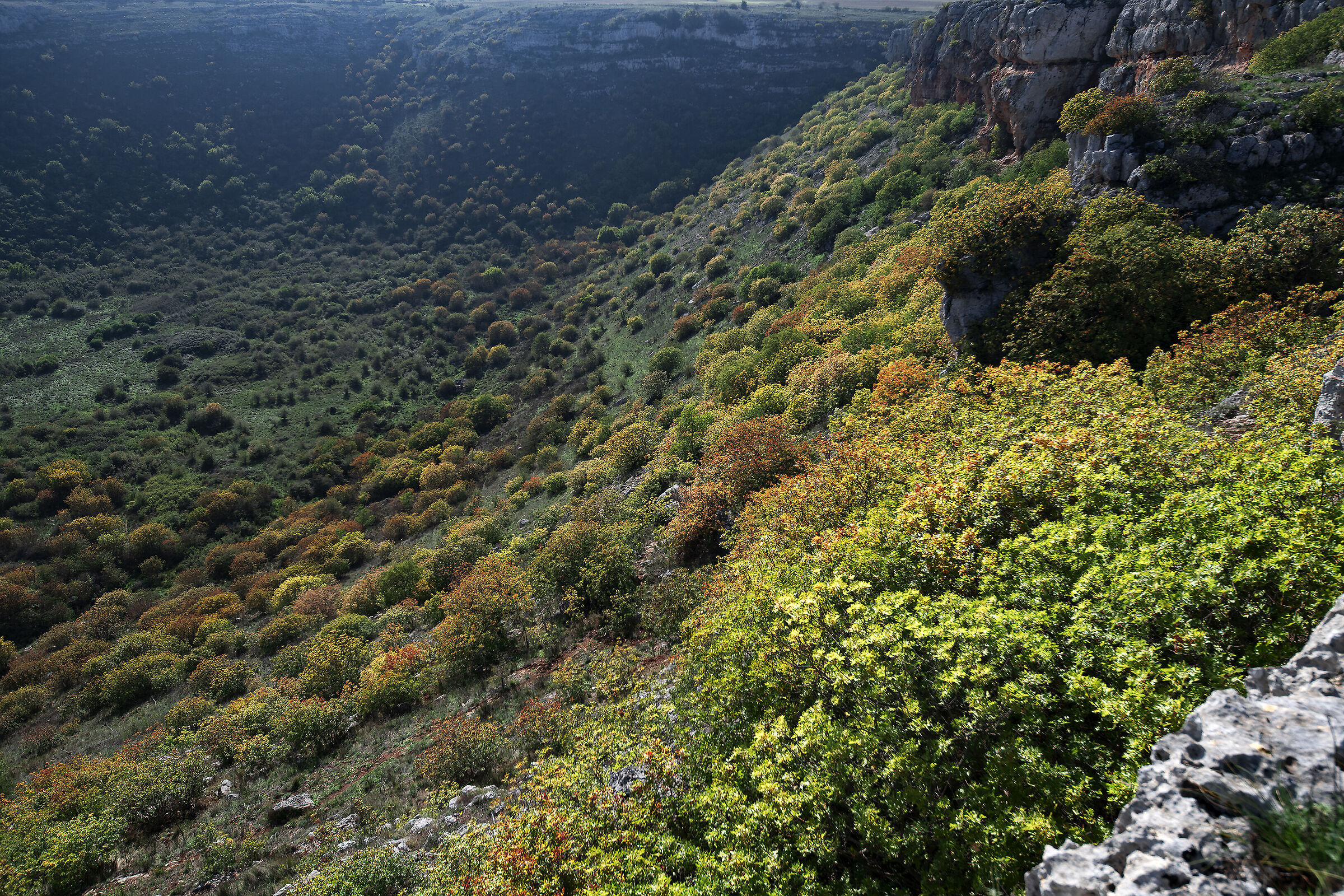 Autumn terebinti al Pulo