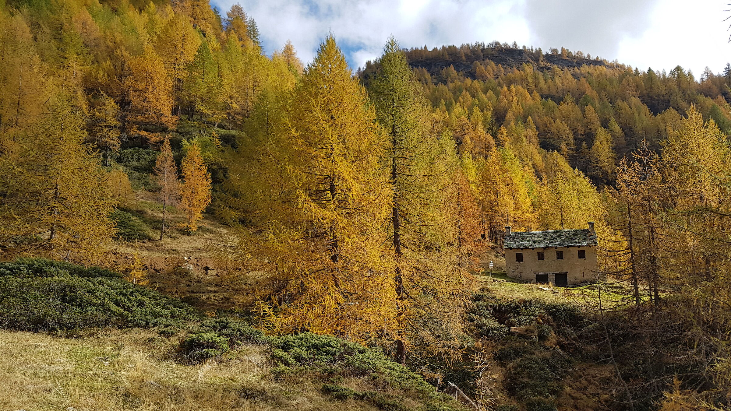 The colors of Devero on 16Oct2022