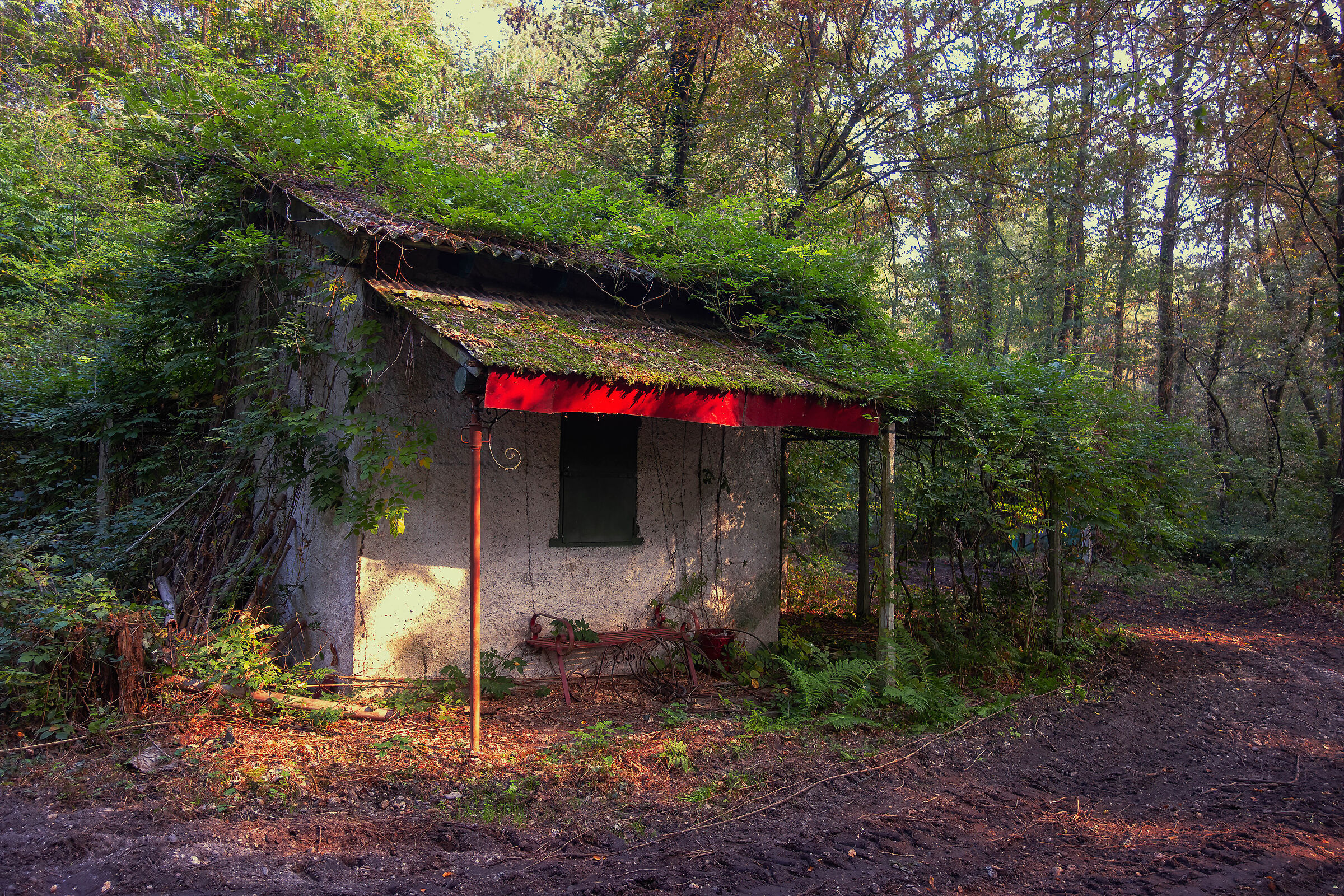 The house in the woods
