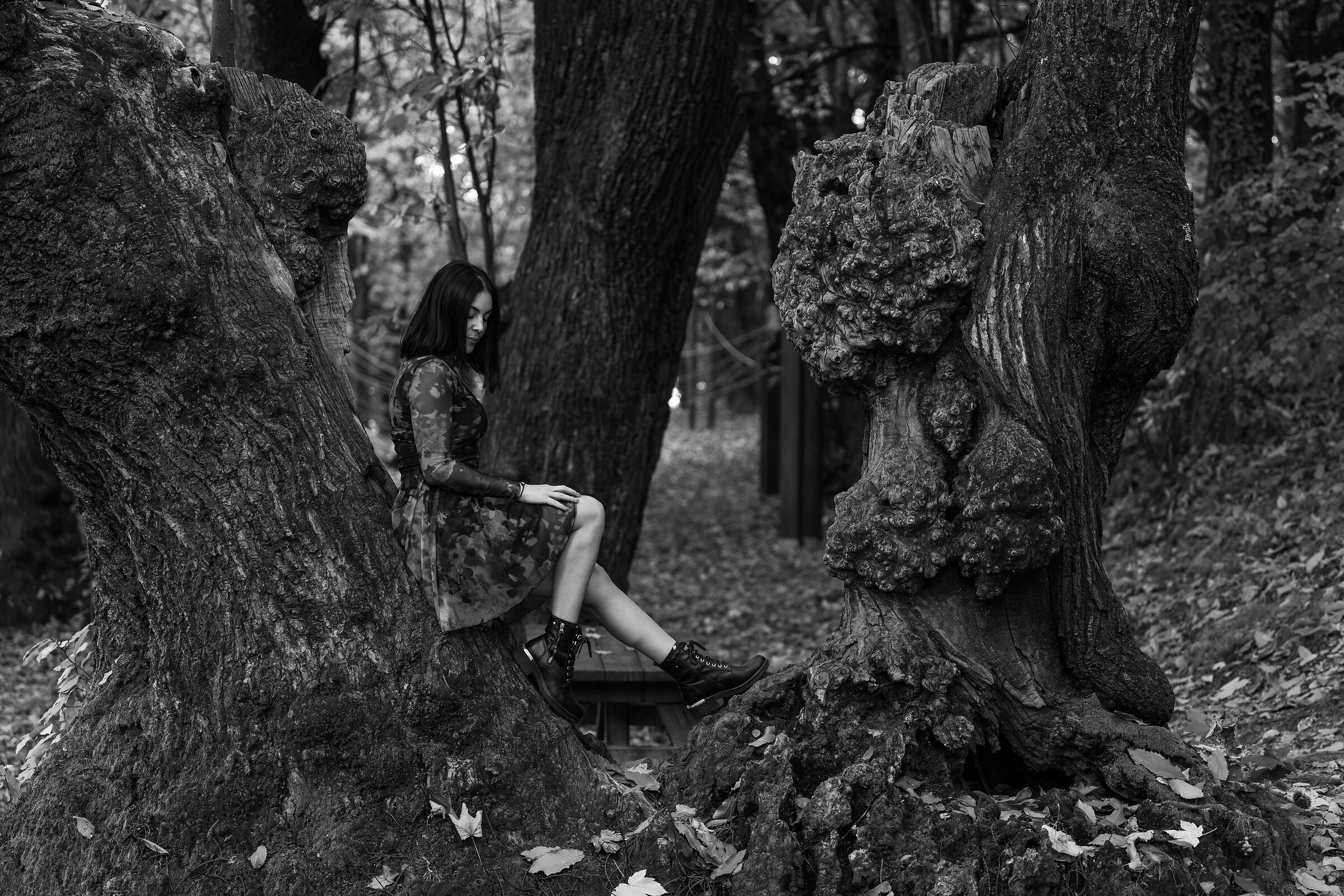 Lost in the dark forest