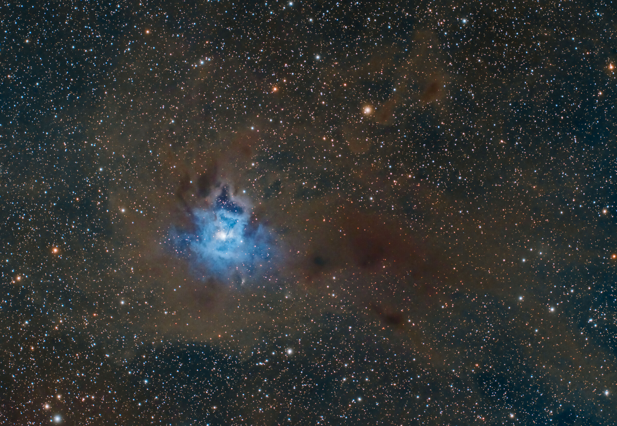 ngc7023 iris