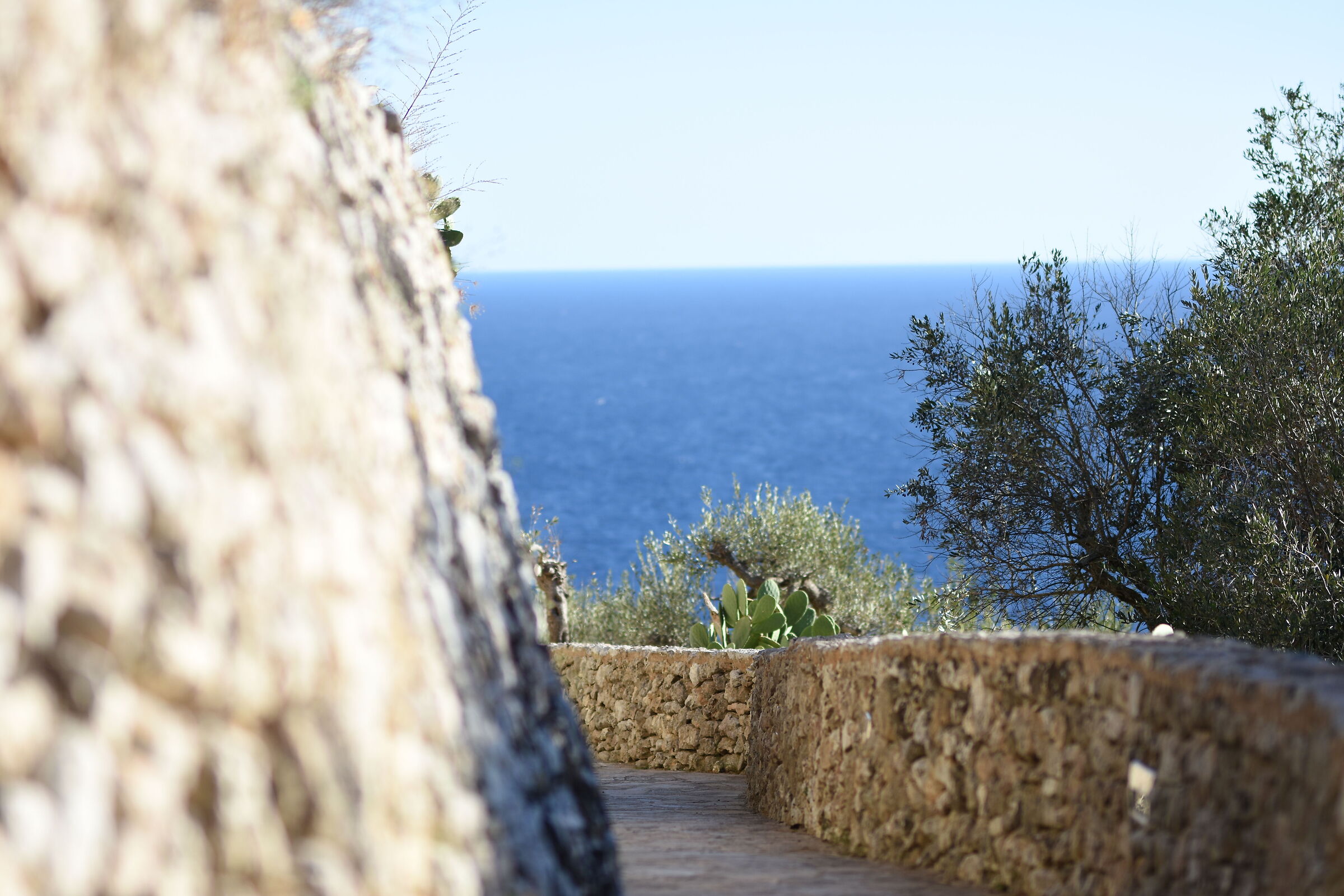 " F. 1.7 " , 1/ 4.0 0 0, ISO 125- Sigma 85, 1.4 Ar...