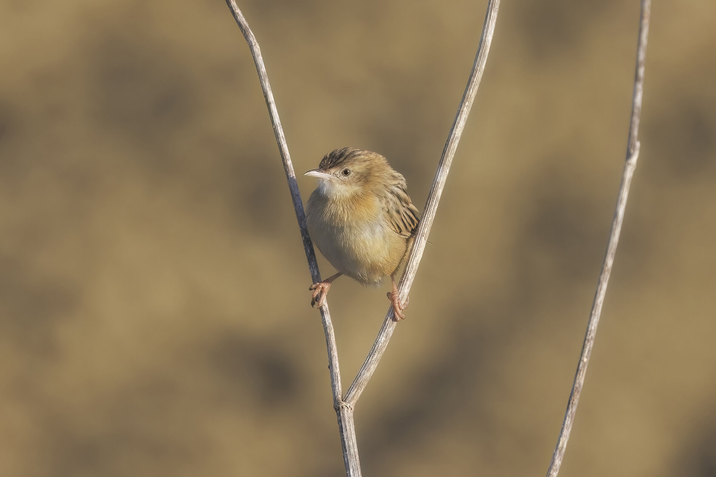 Classic installation