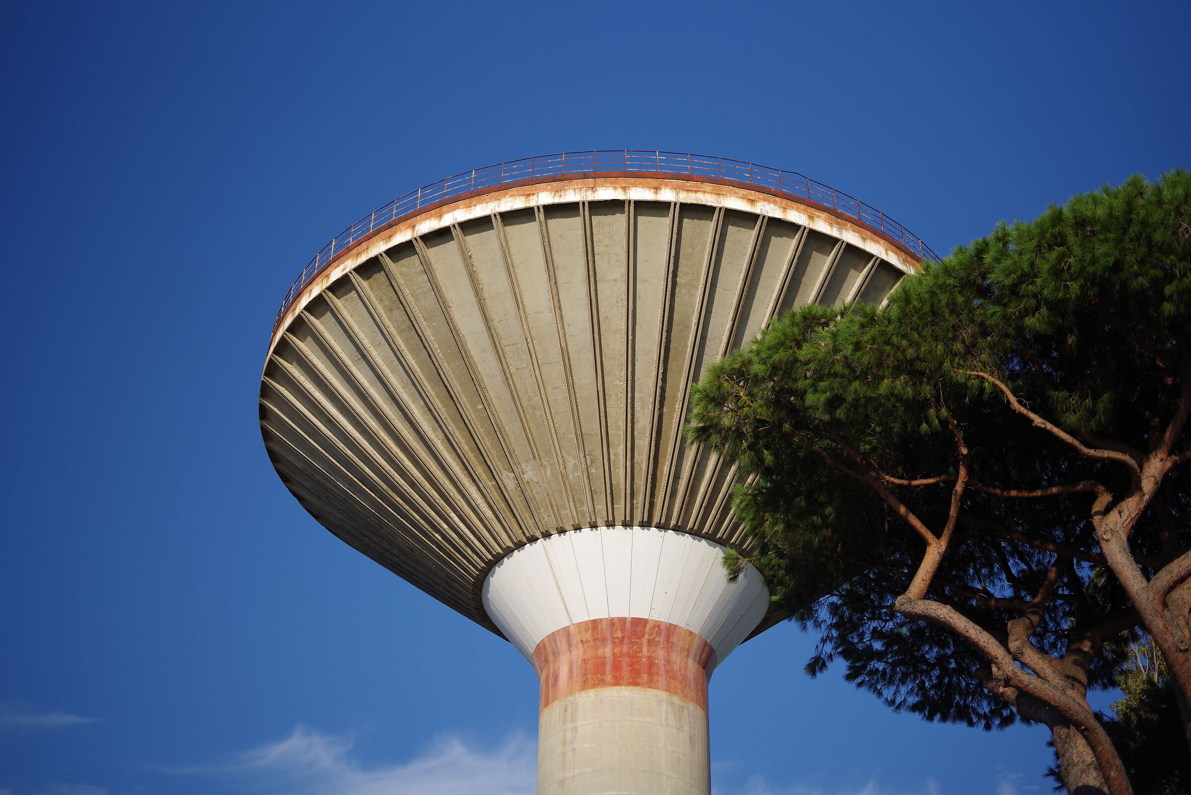 mushroom and tree structure